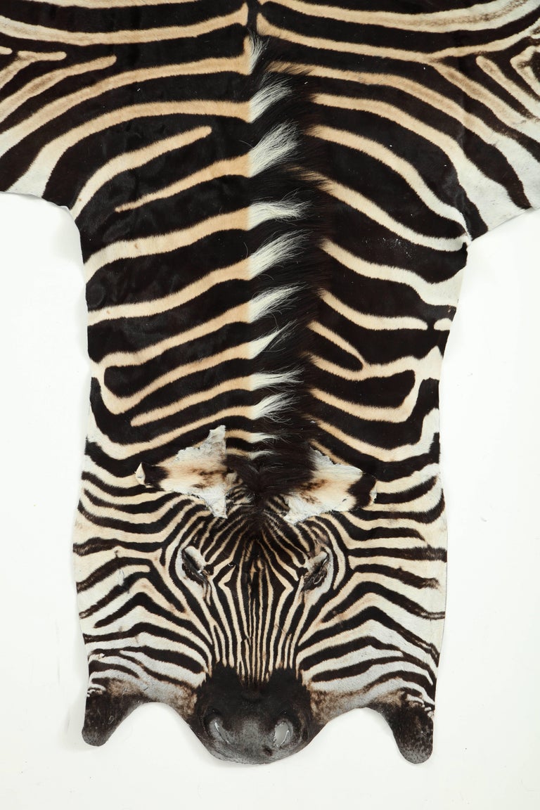 Zebra Hide Rug, Vintage at 1stdibs