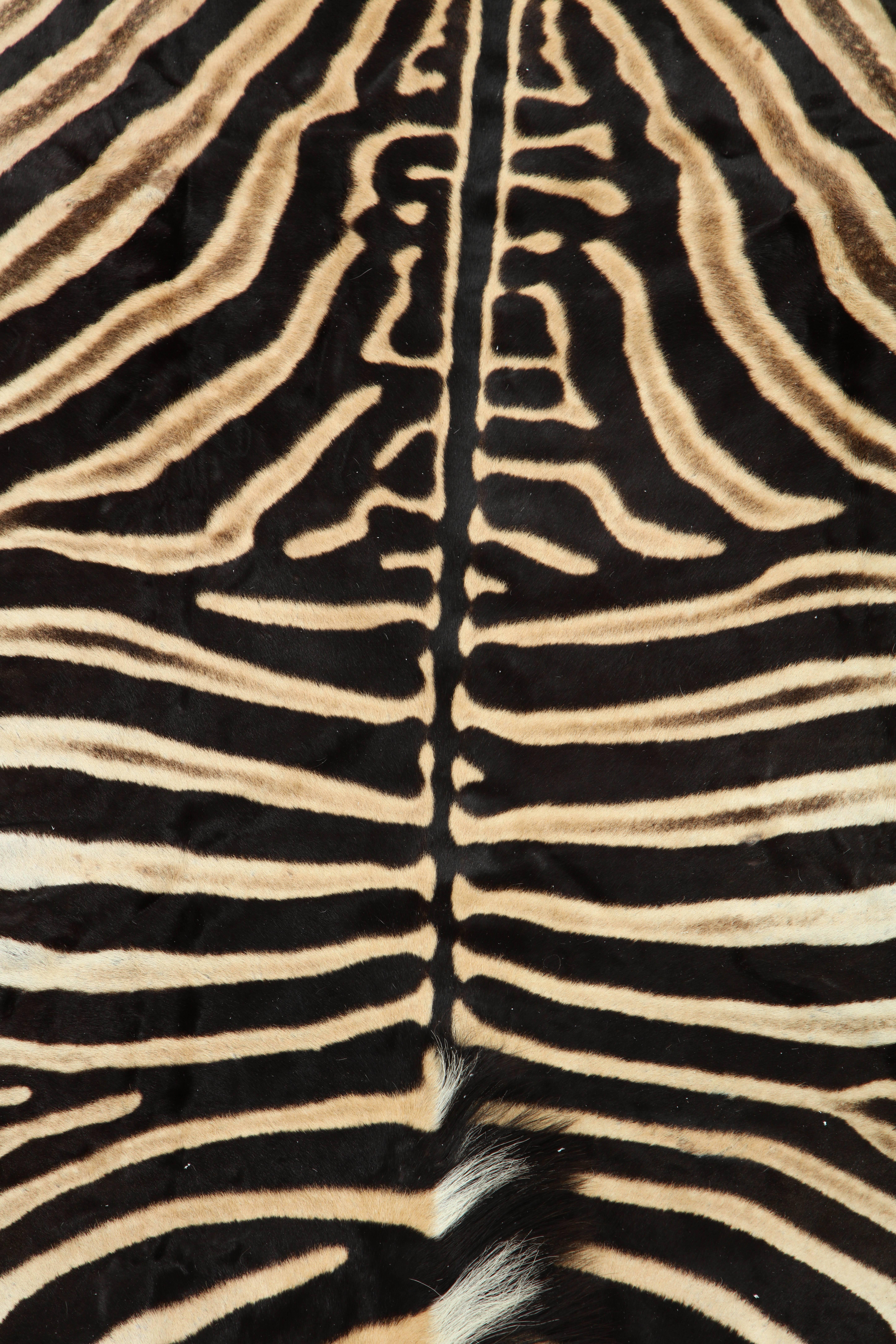 South African Zebra Hide Rug, Vintage