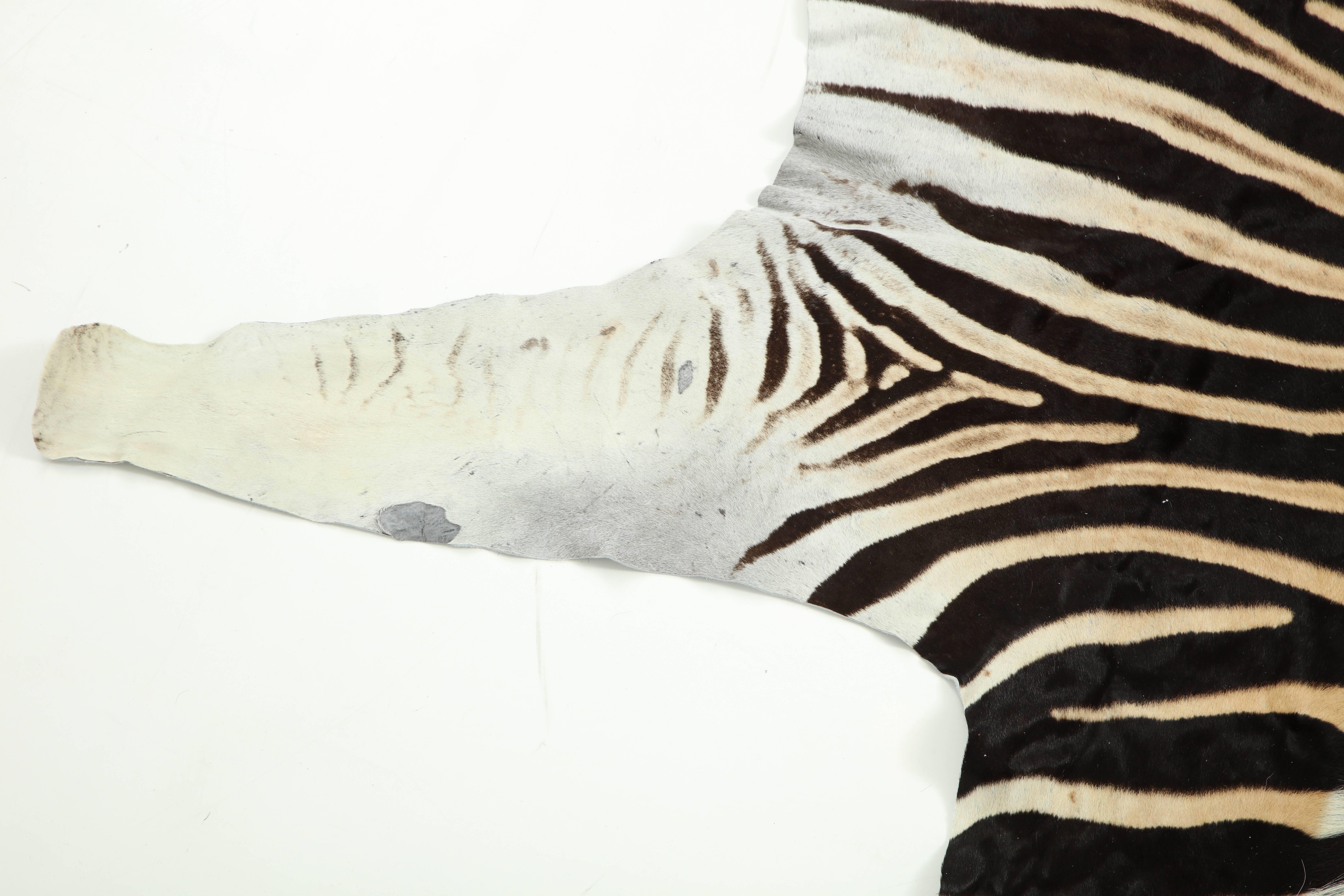 Hand-Crafted Zebra Hide Rug, Vintage