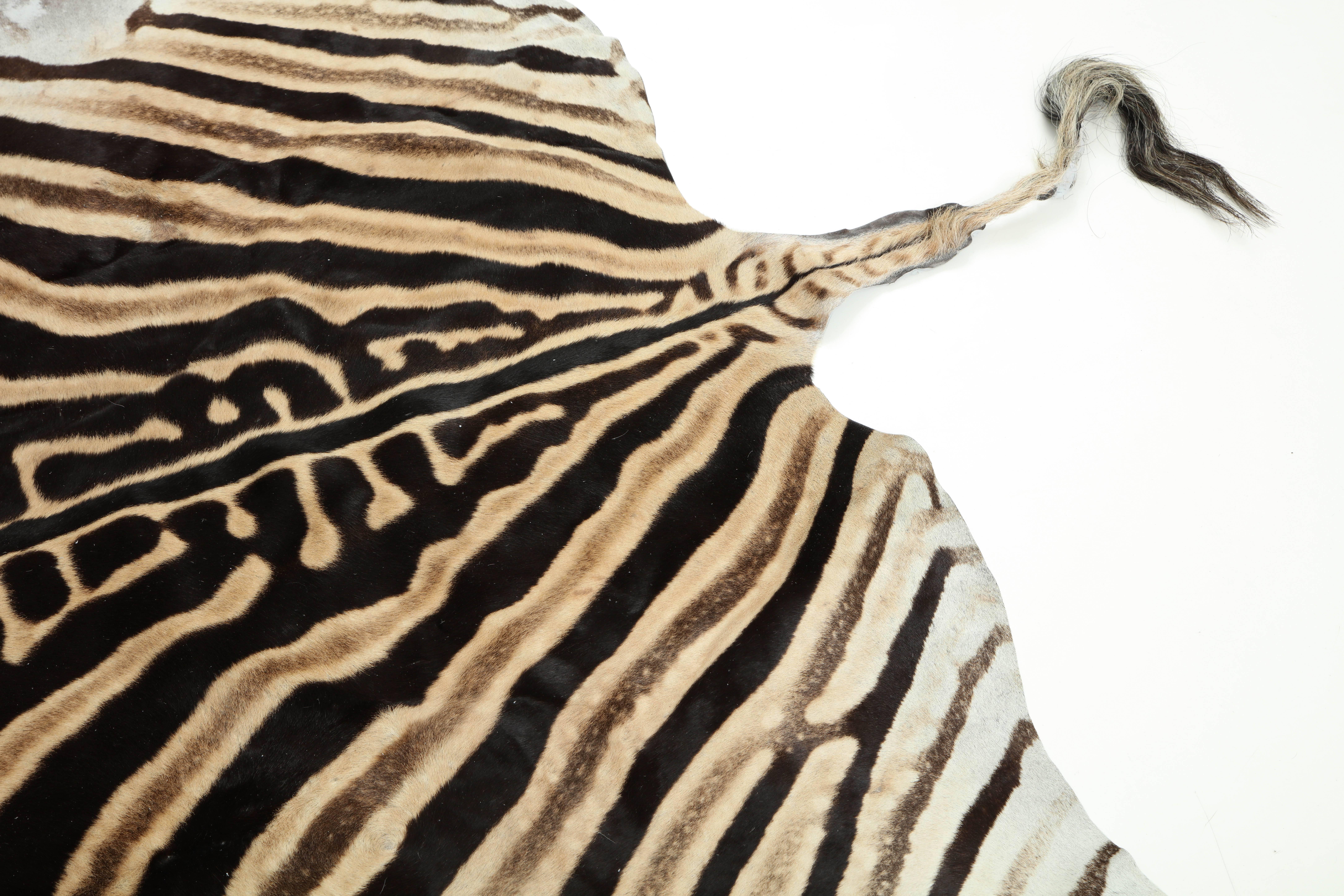 Zebra Hide Rug, Vintage In Excellent Condition In New York, NY