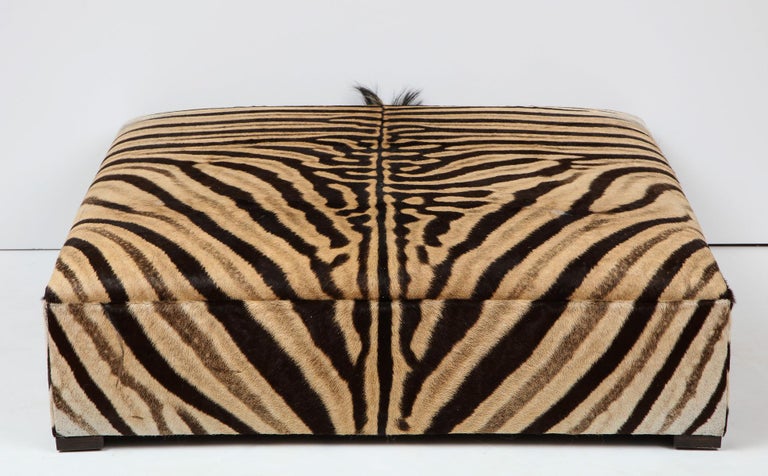Zebra Ottoman / Coffee Table, Large Square, Chocolate, Brass Legs, in Stock, USA For Sale 2