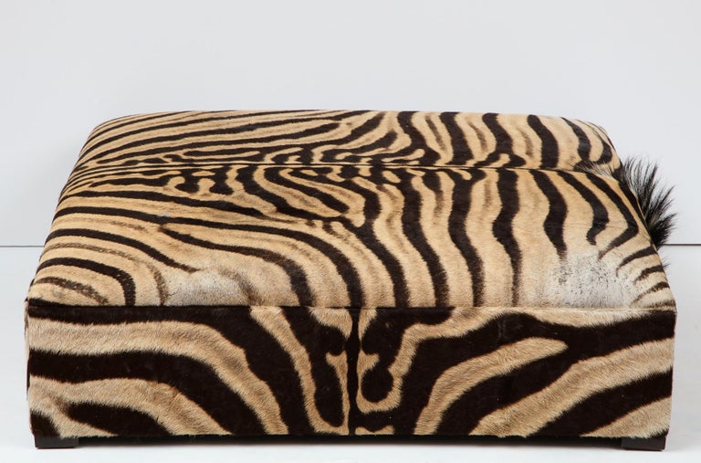 Zebra Ottoman / Coffee Table, Large Square, Chocolate, Brass Legs, in Stock, USA For Sale 1
