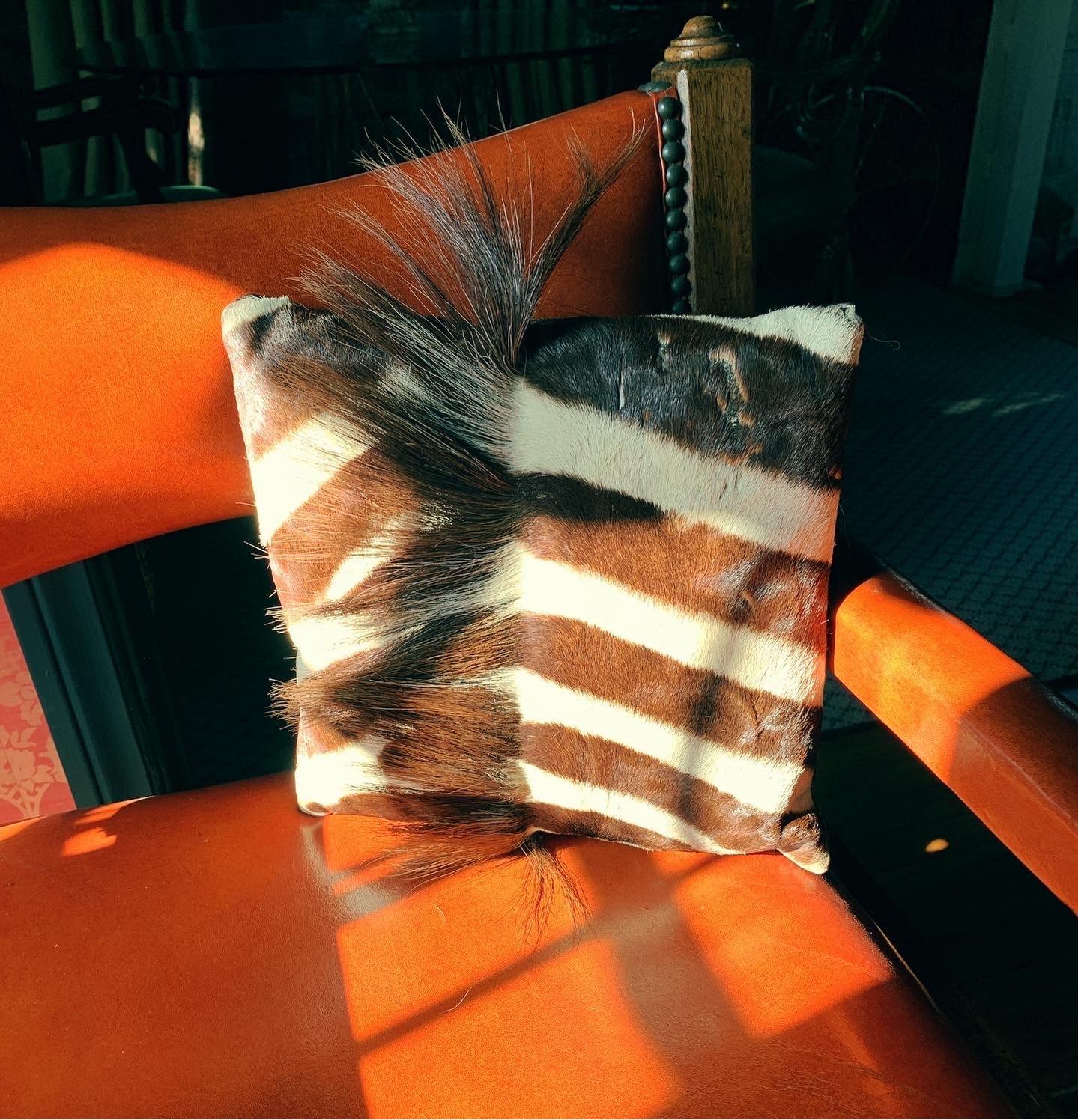 Rustic Zebra Pillow