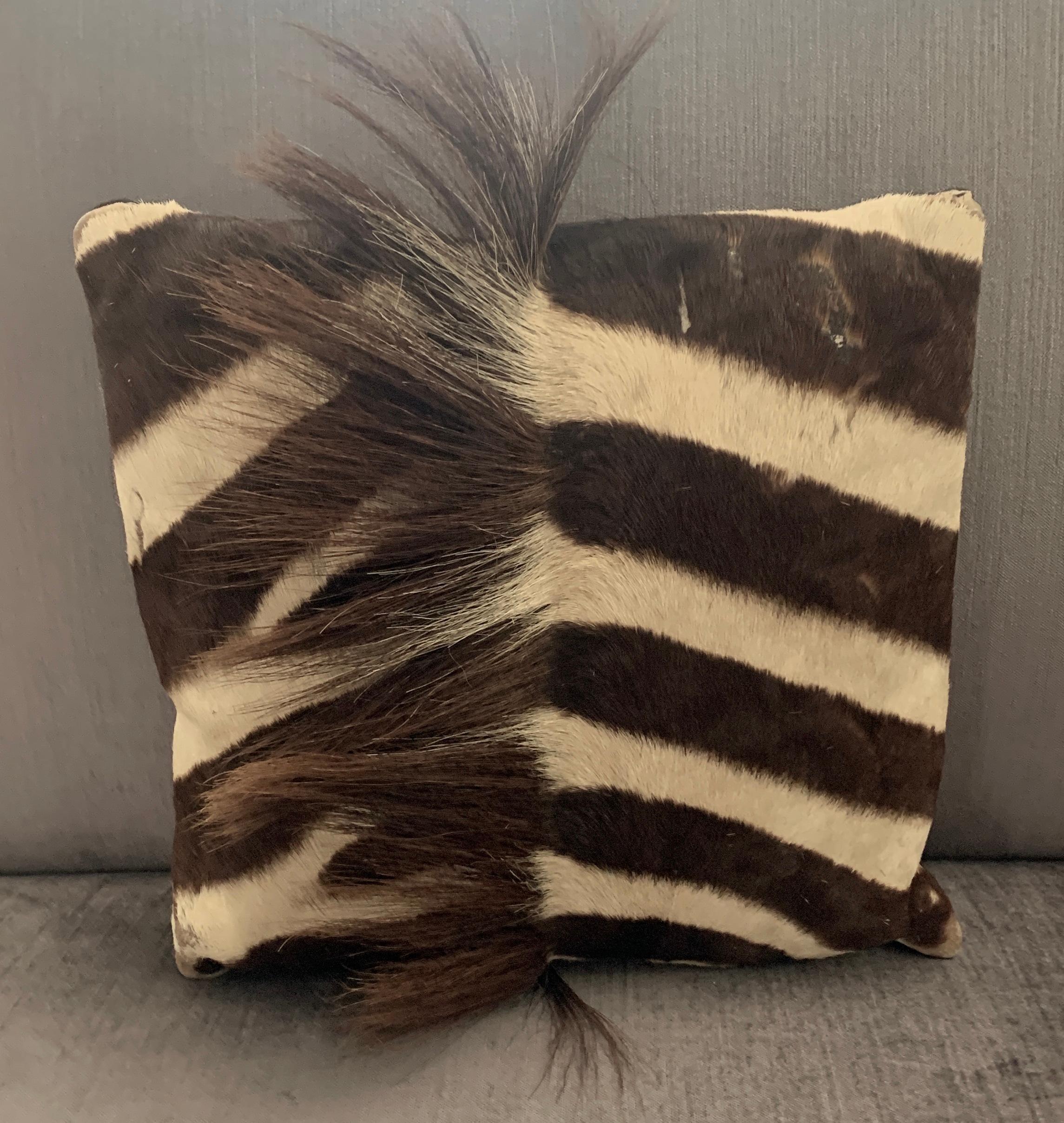 Botswanan Zebra Pillow