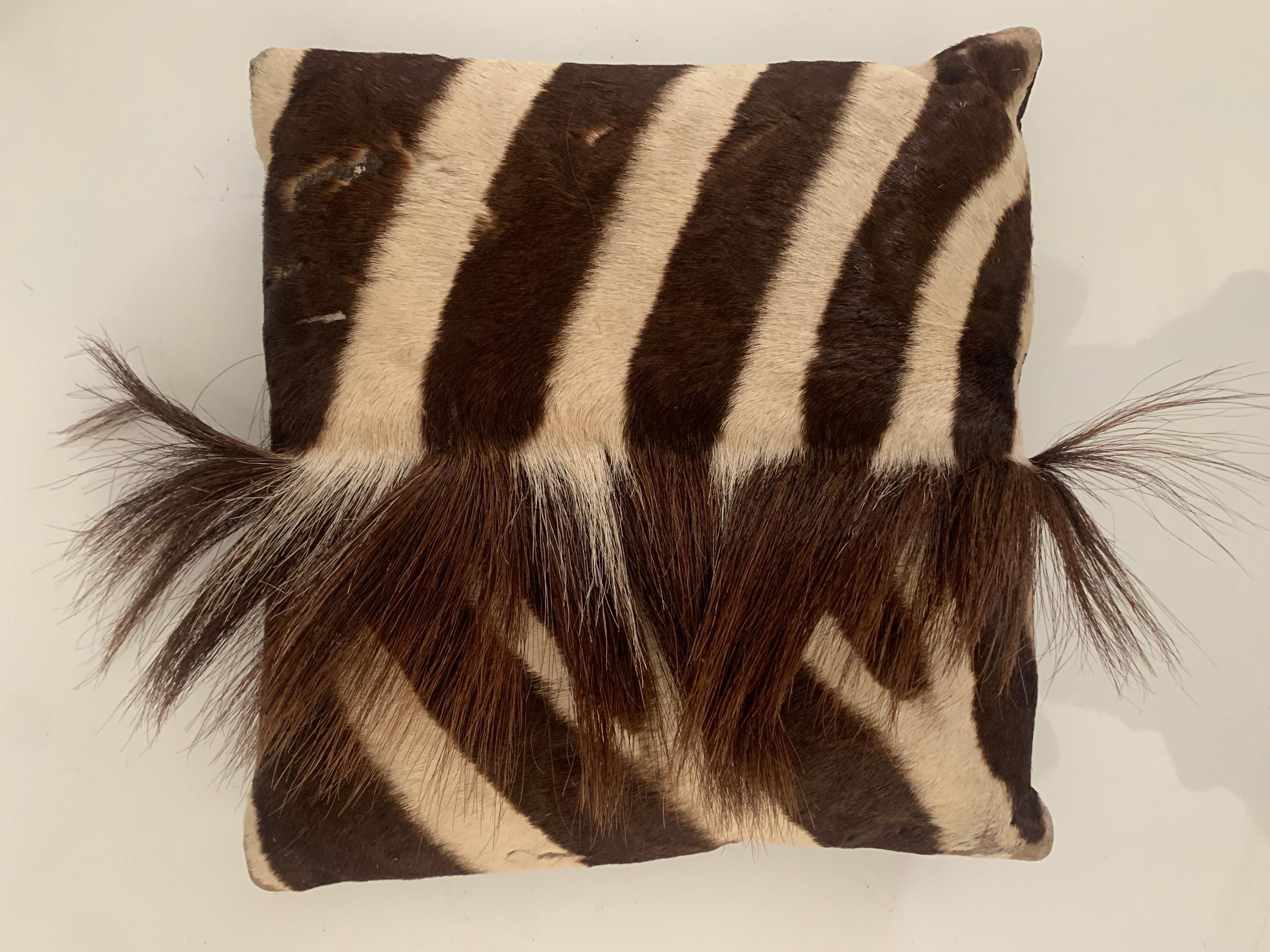 Zebra Hide Zebra Pillow