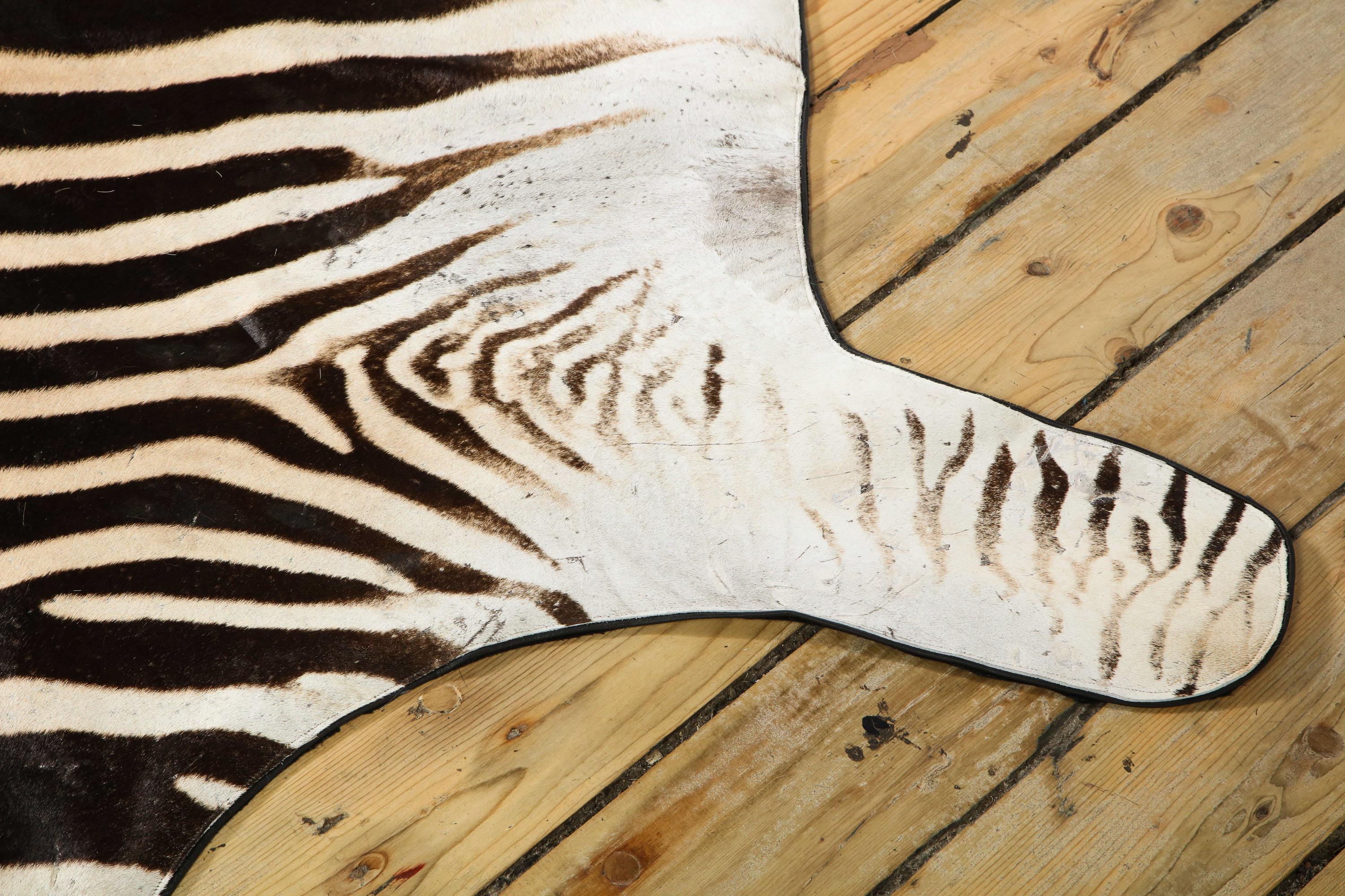 Contemporary Zebra Rug, South Africa, Wool Felt Backed with Leather Trim, In Stock, New Hide For Sale