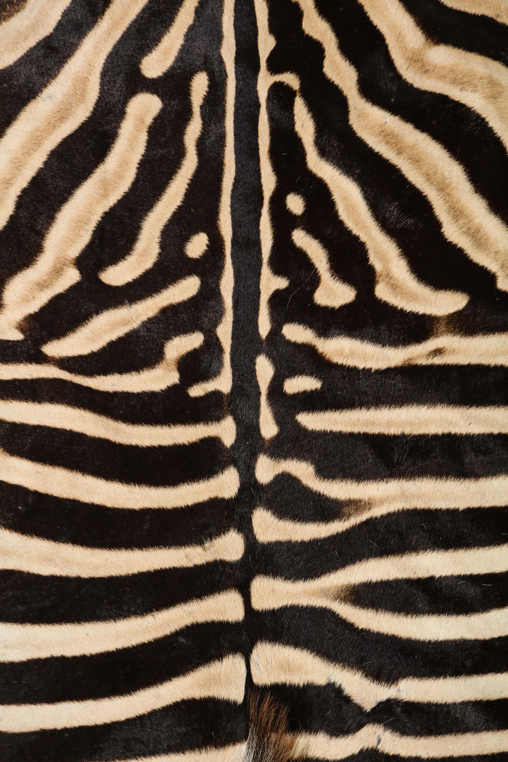 Zebra Hide Zebra Rug, South Africa, Wool Felt Backed with Leather Trim, New Hide, In Stock For Sale