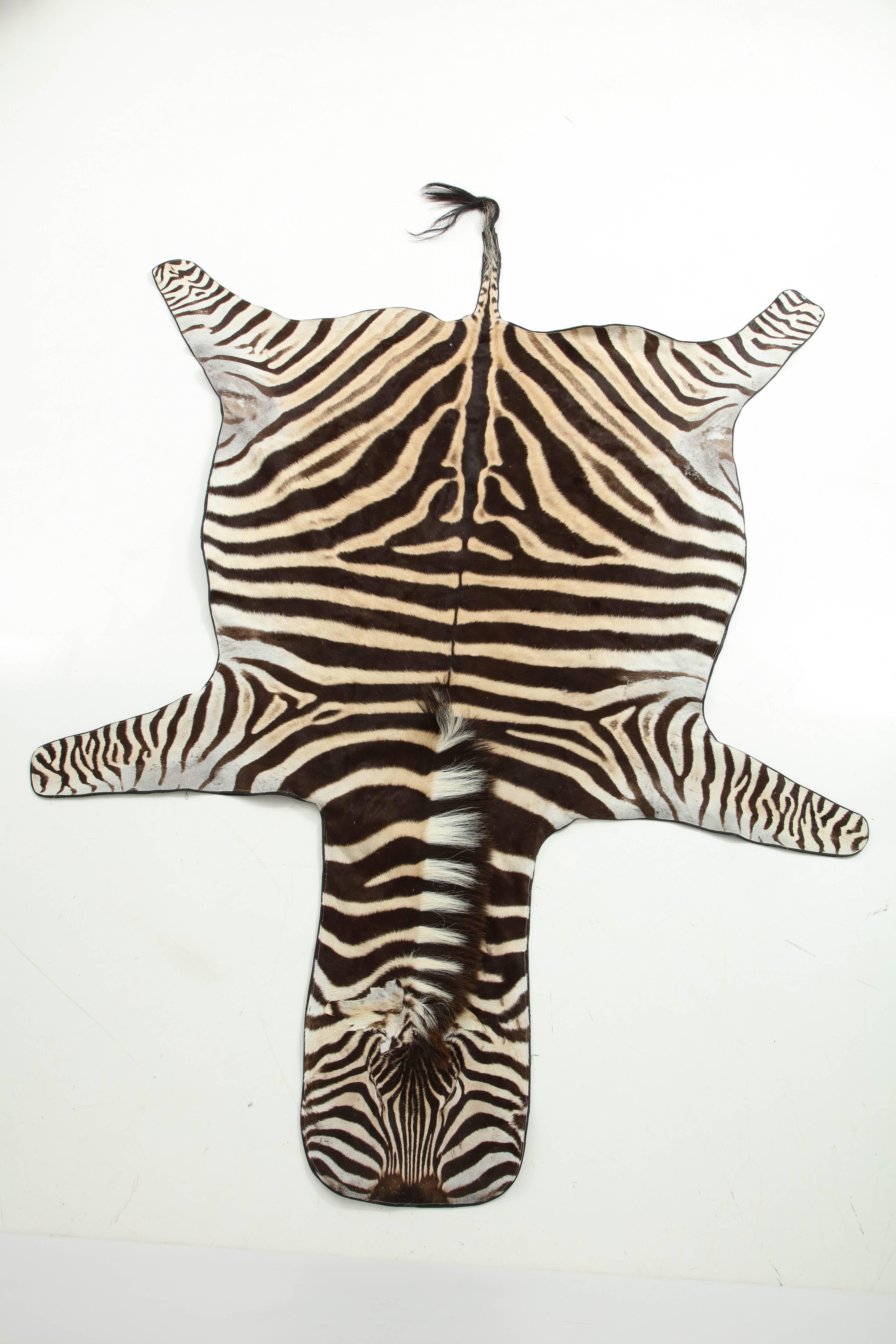 Decorative zebra rug. The hide is backed with black wool felt and trimmed with leather all around. The measurement is from the nose to the rump. The tail is not included in the measurement. The width is on the belly.