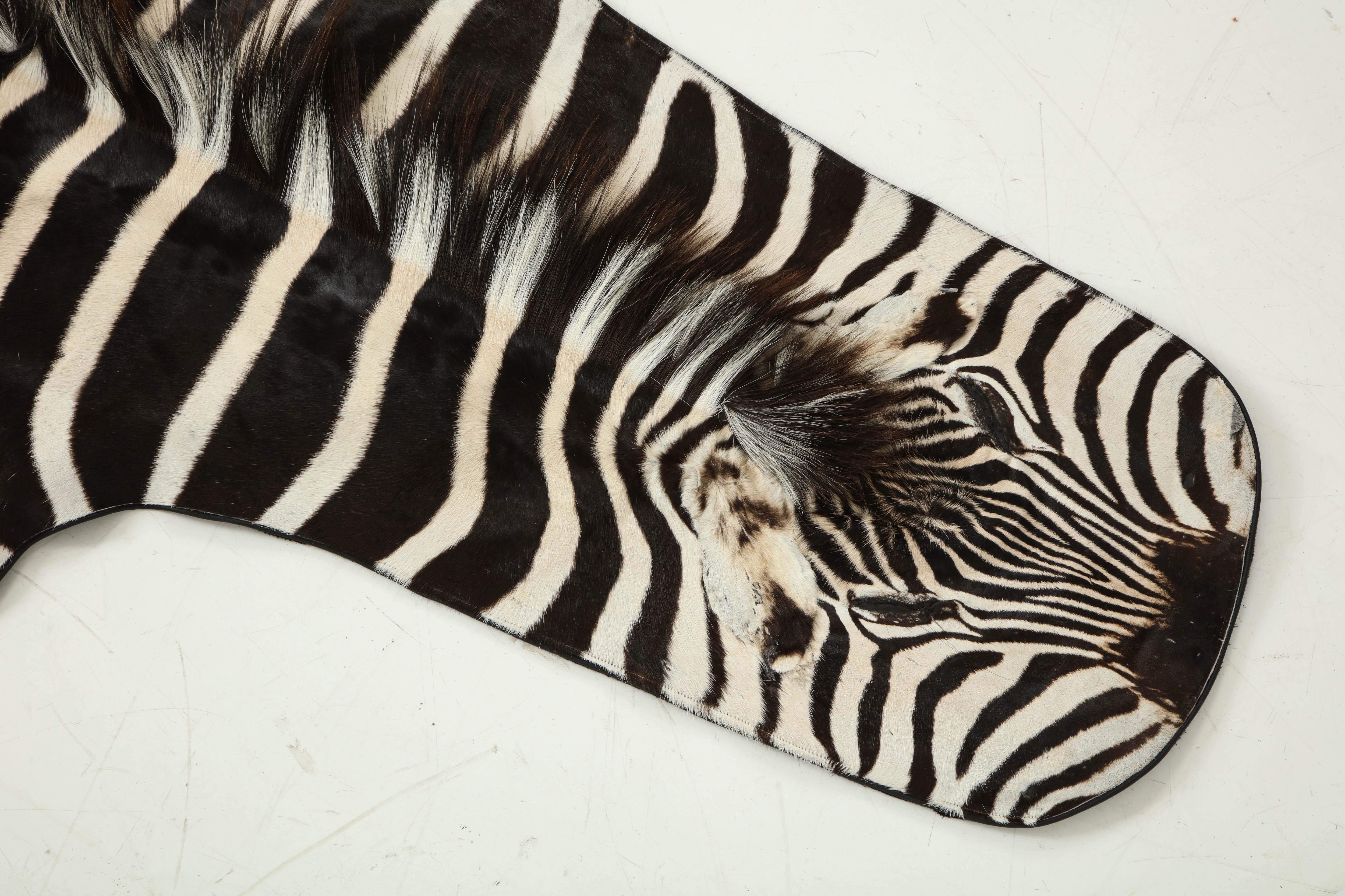 Decorative zebra hide rug. Trimmed with leather all around the edges and backed with wool fabric.