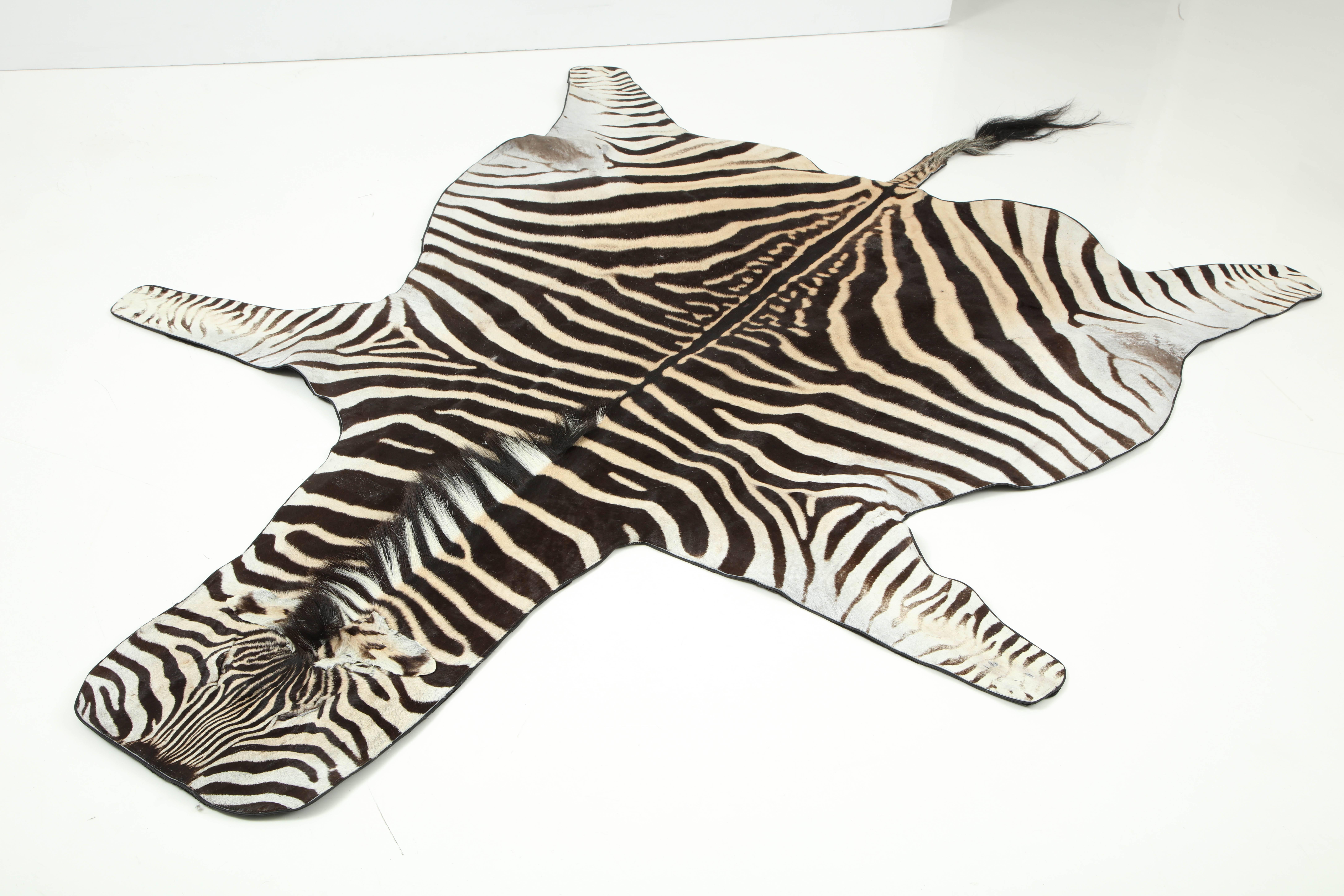 Zebra rug from South Africa. The hide is backed with a wool fabric and trimmed with leather.
