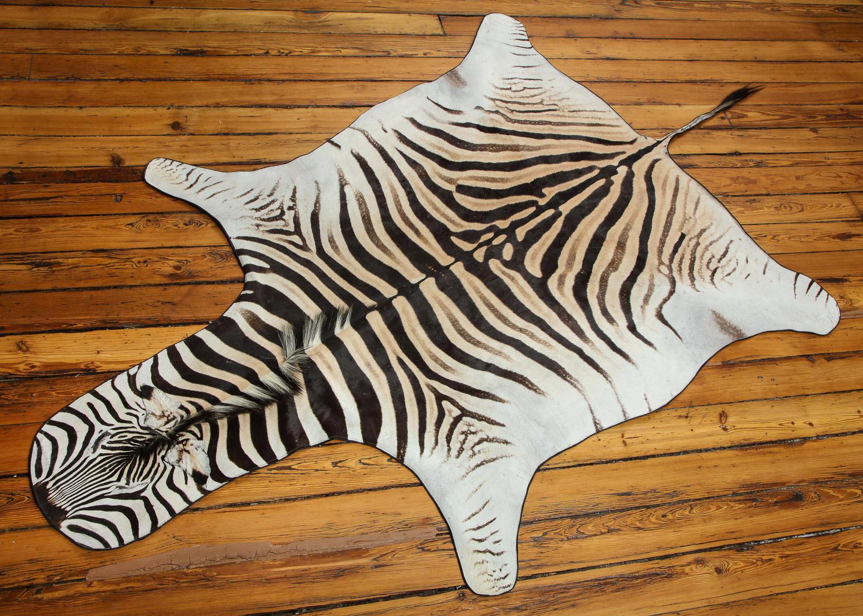Beautiful zebra rug. This one is extra white which is very hard to find.
Backed with wool felt and trimmed all around with leather.
The zebra hide comes from South Africa.