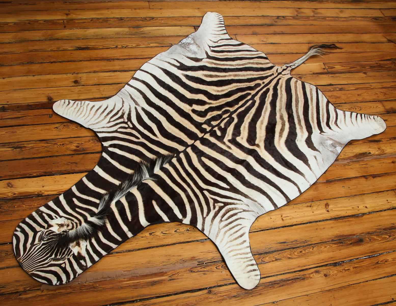 Beautiful zebra rug. This one is extra white which is very hard to find.
Backed with wool and trimmed all around with leather.