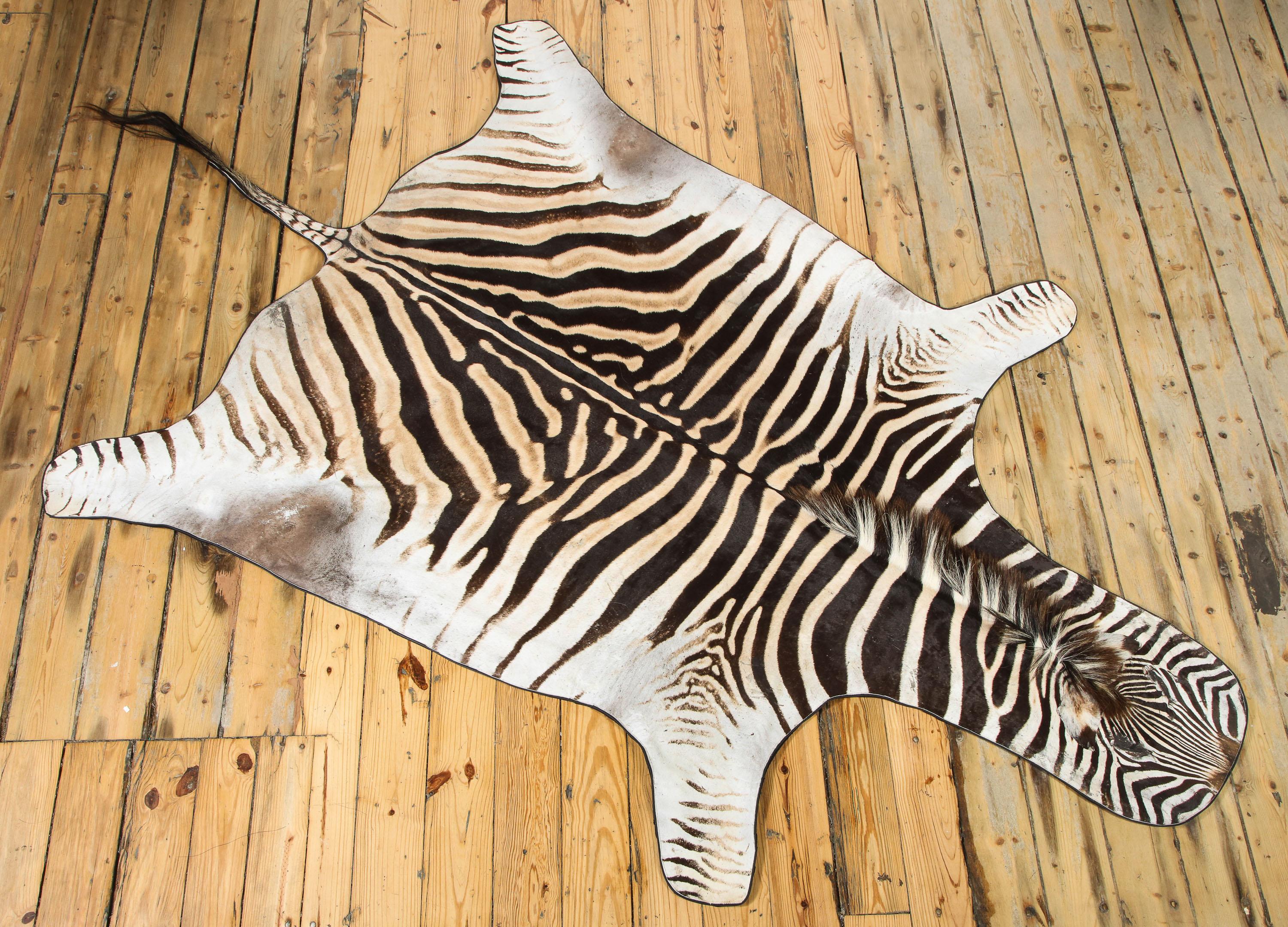 Decorative new zebra rug from South Africa. The hide is backed with a wool felt fabric and trimmed with leather all around.
This zebra hide is sold but we just got in a new one. The length is 91 inches, not included the tail and the width is 56