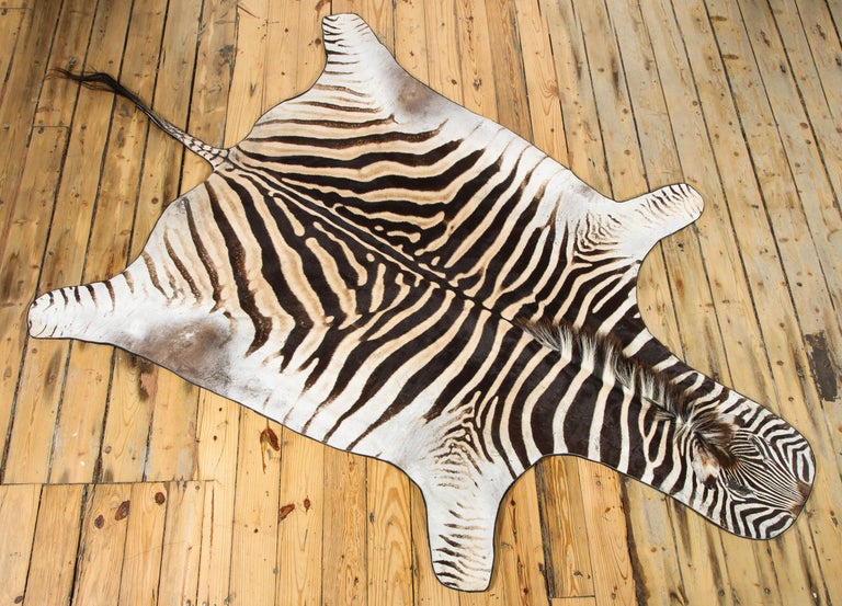 Zebra Rug For Sale at 1stdibs