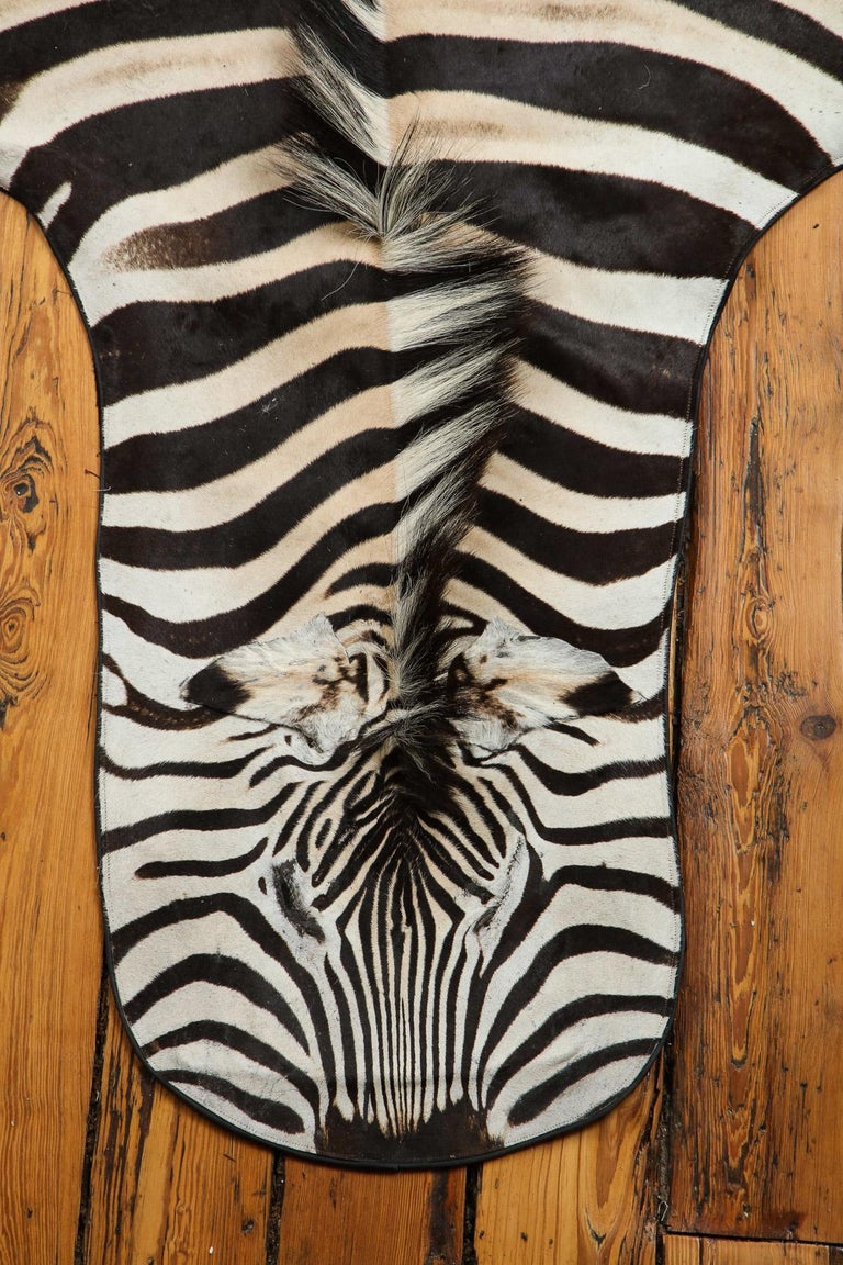 Zebra Rug, South Africa For Sale at 1stdibs