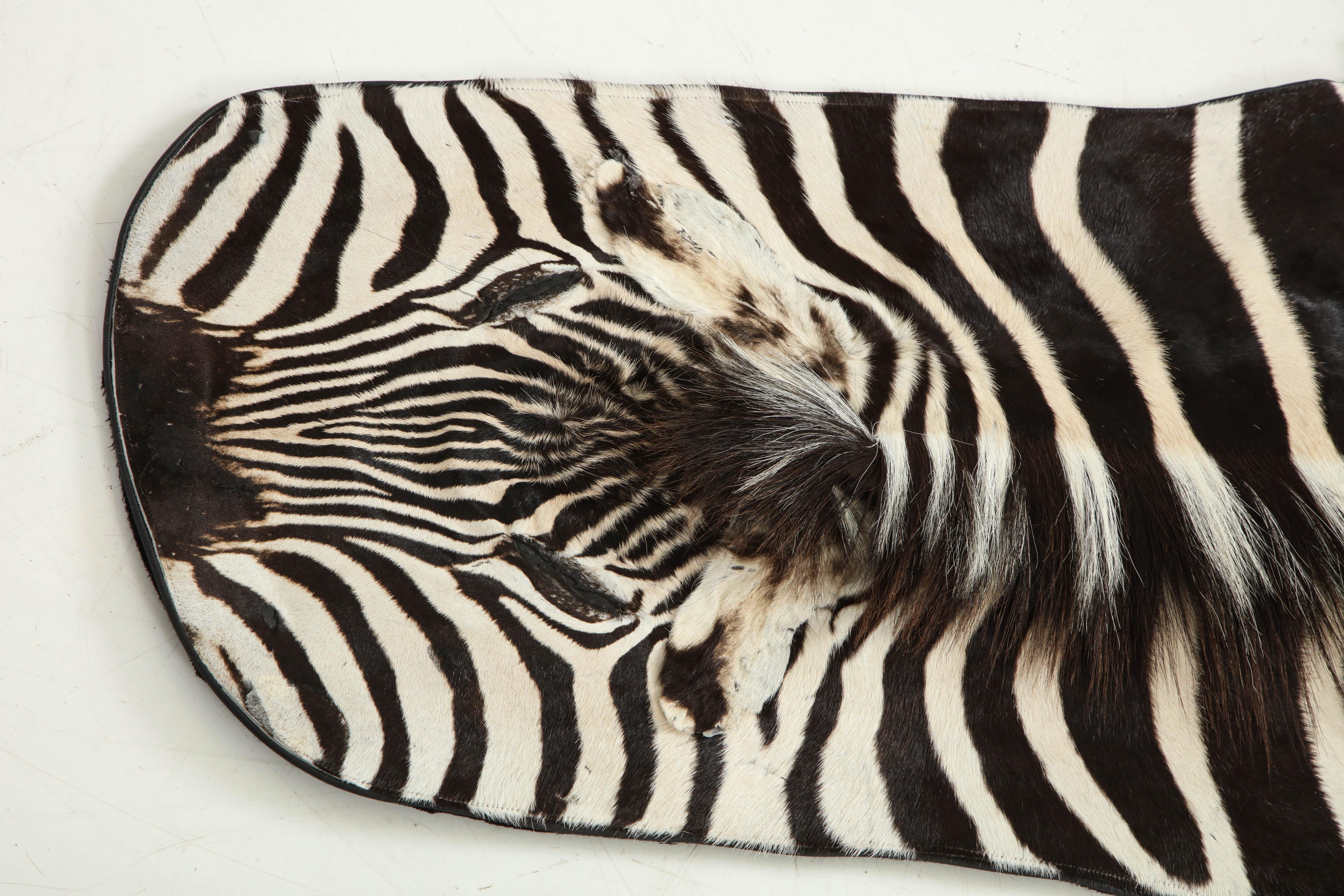 South African Zebra Rug