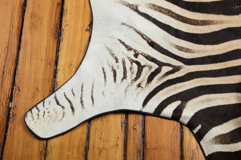 Zebra Hide Rug, South Africa, Chocolate Brown For Sale at 1stdibs
