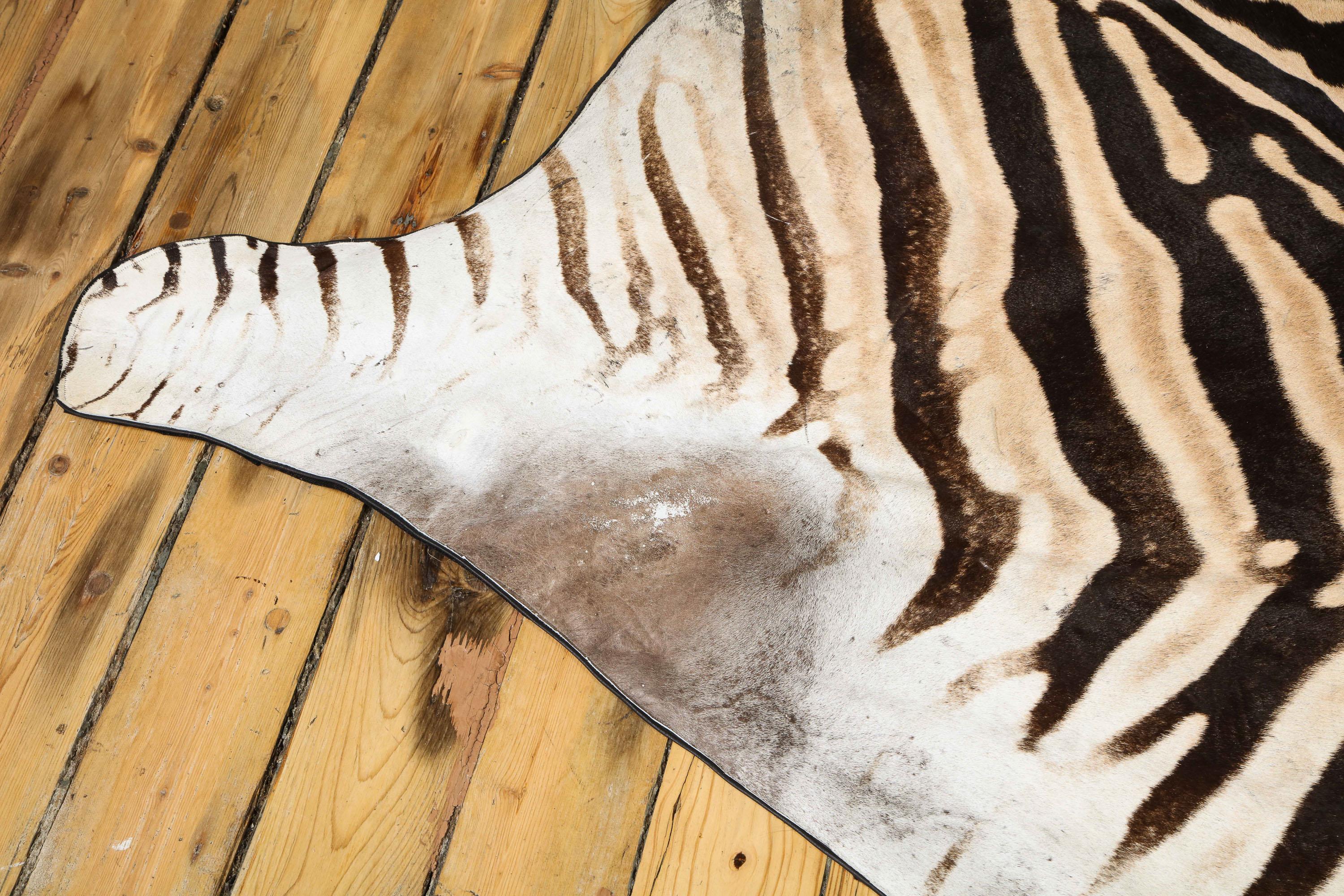 Fait main Tapis Zebra, Afrique du Sud, dos en feutre de laine avec garniture en cuir, neuf, en stock en vente