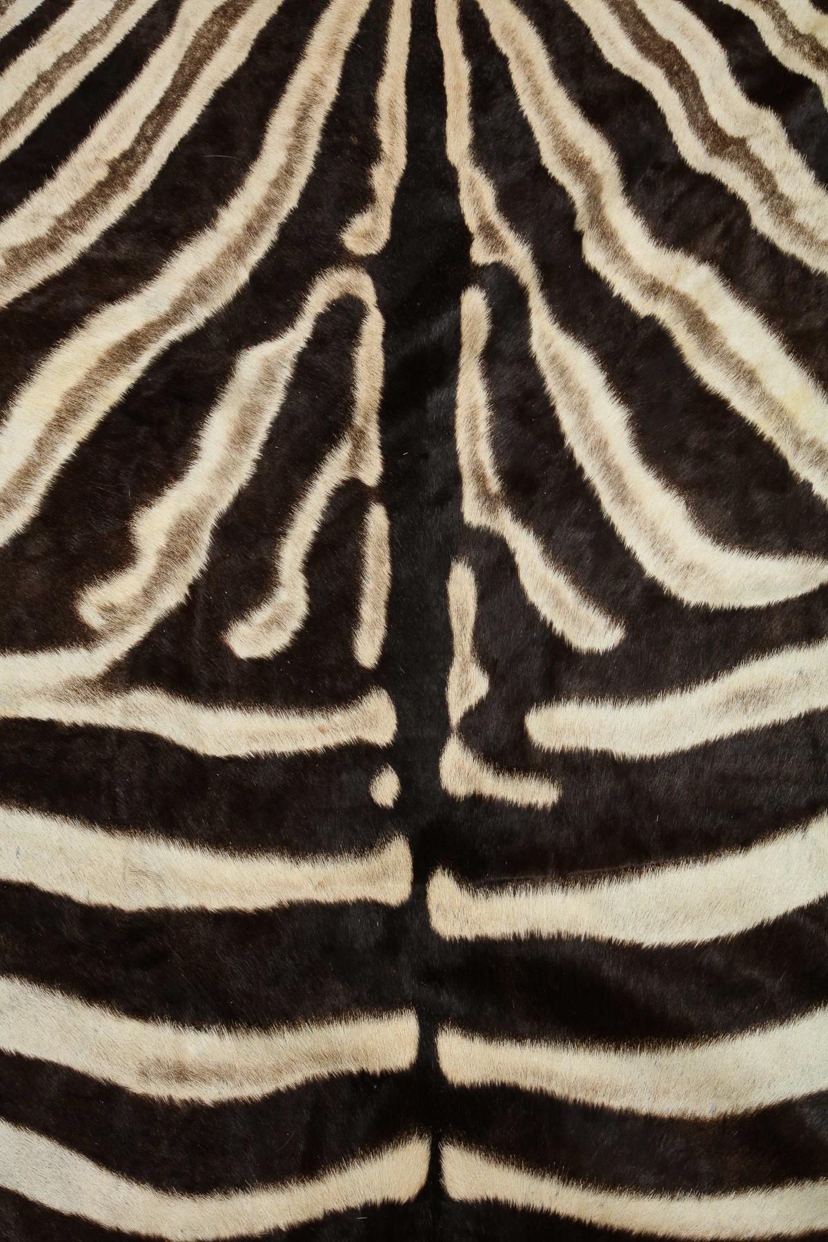 Campaign Zebra Hide Rug, Chocolate Brown from South Africa