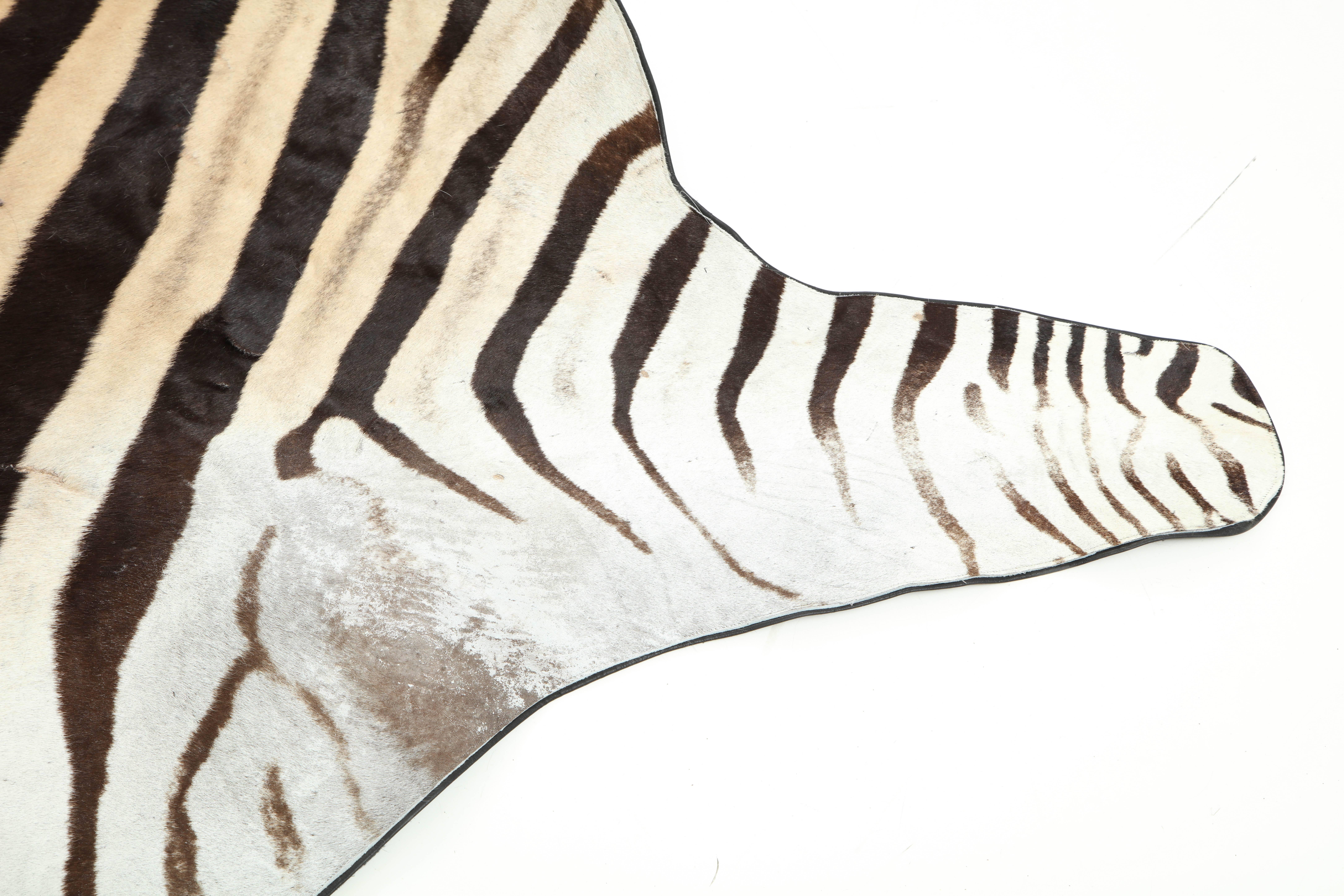 Contemporary Zebra Rug