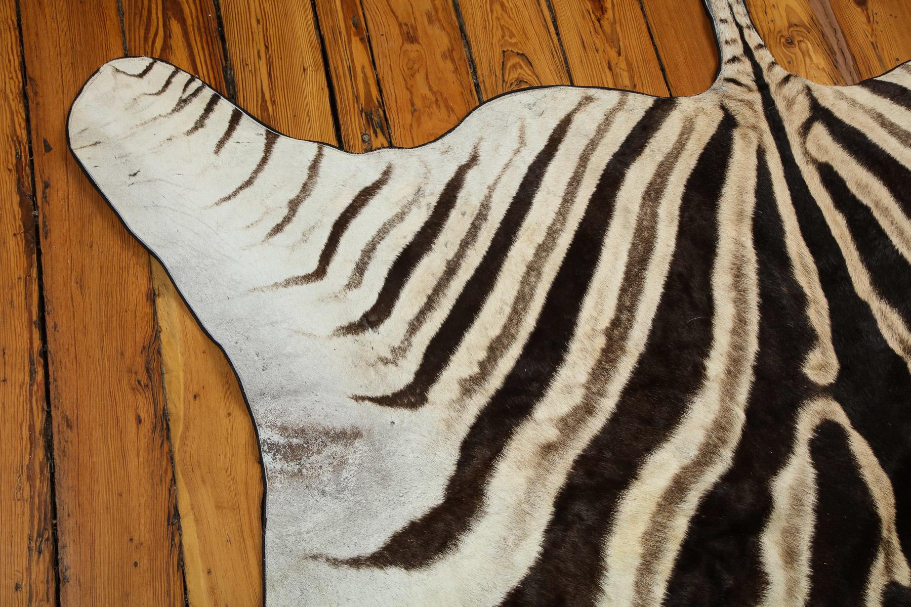 South African Zebra Hide Rug, Chocolate Brown from South Africa