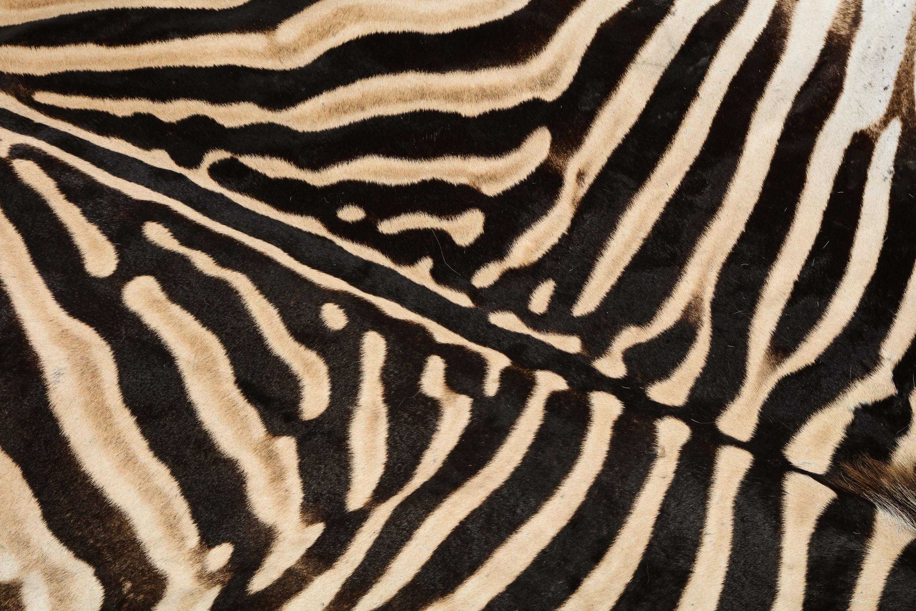 South African Zebra Rug, South Africa, Wool Felt Backed with Leather Trim, New Hide, In Stock For Sale