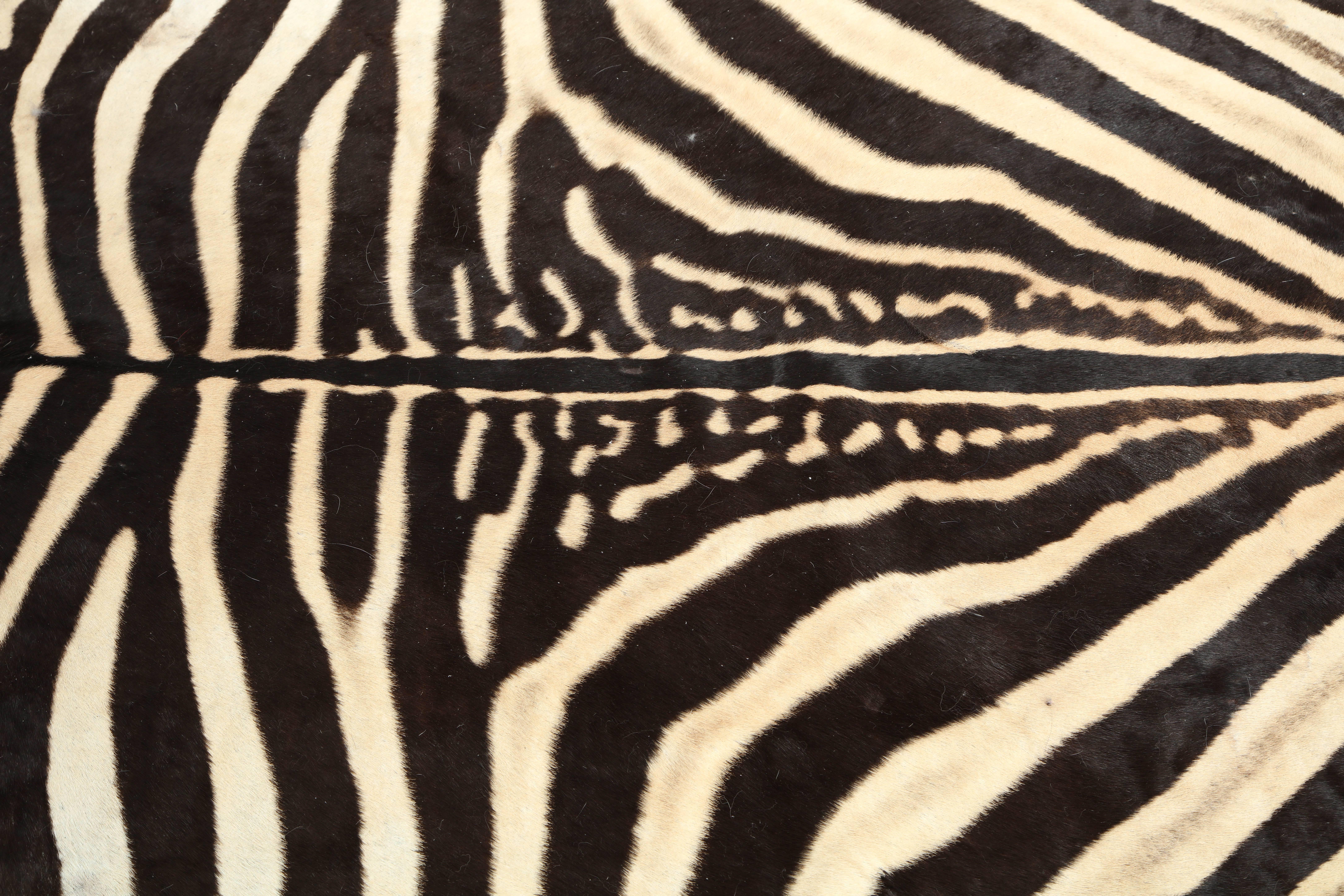 Zebra Hide Zebra Rug
