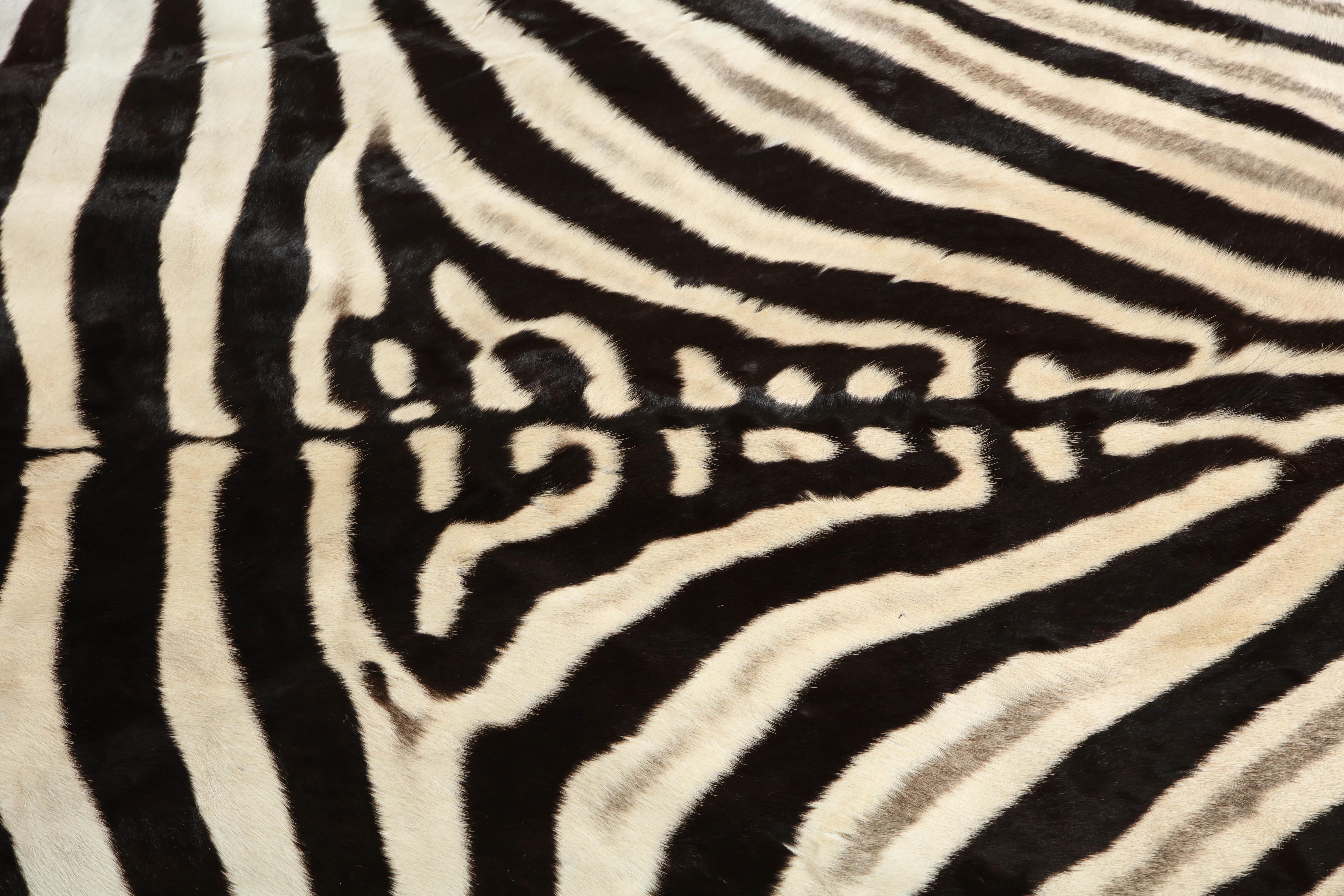 Zebra Rug 1