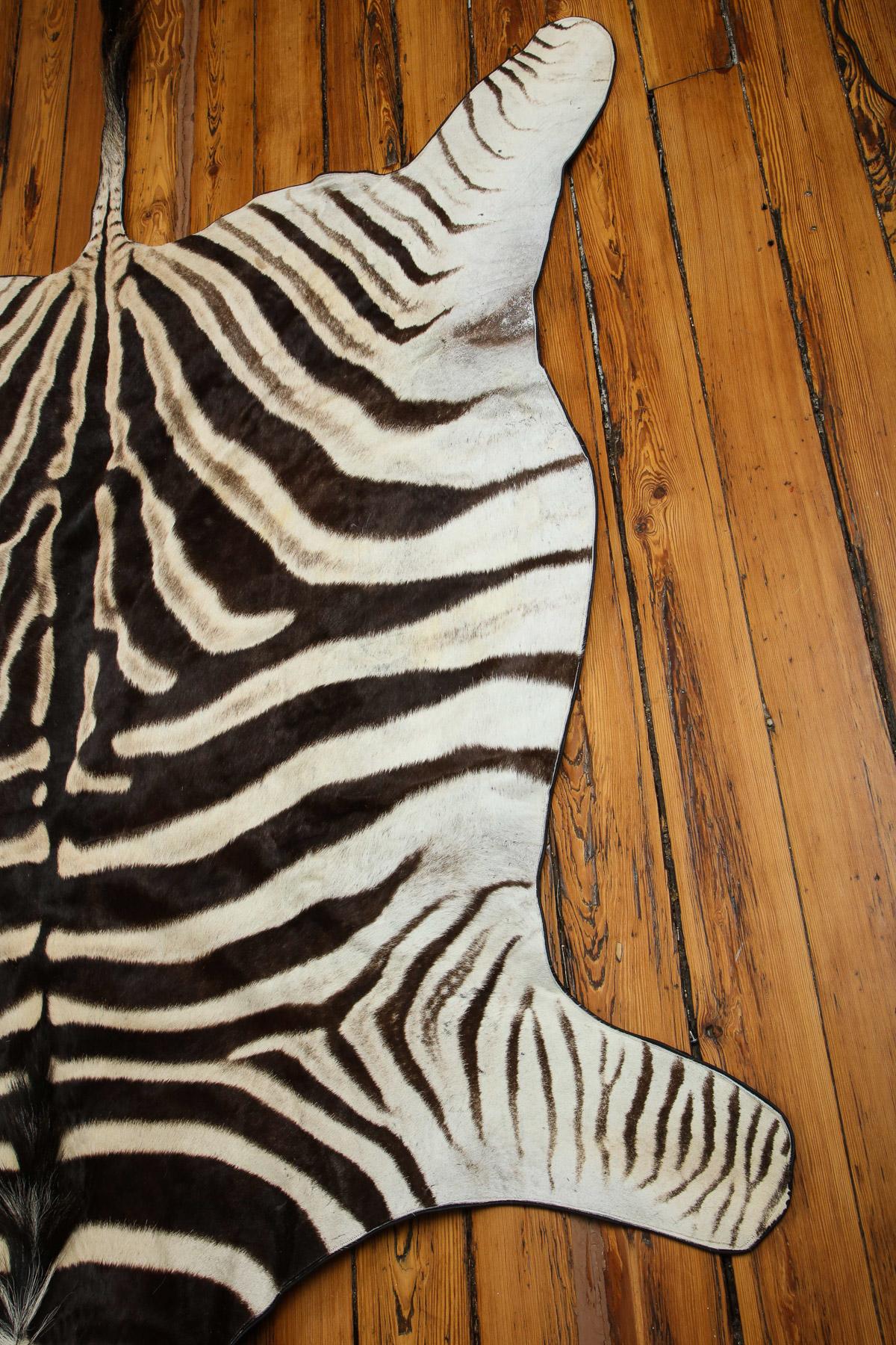 Zebra Hide Rug, Chocolate Brown from South Africa In New Condition In New York, NY