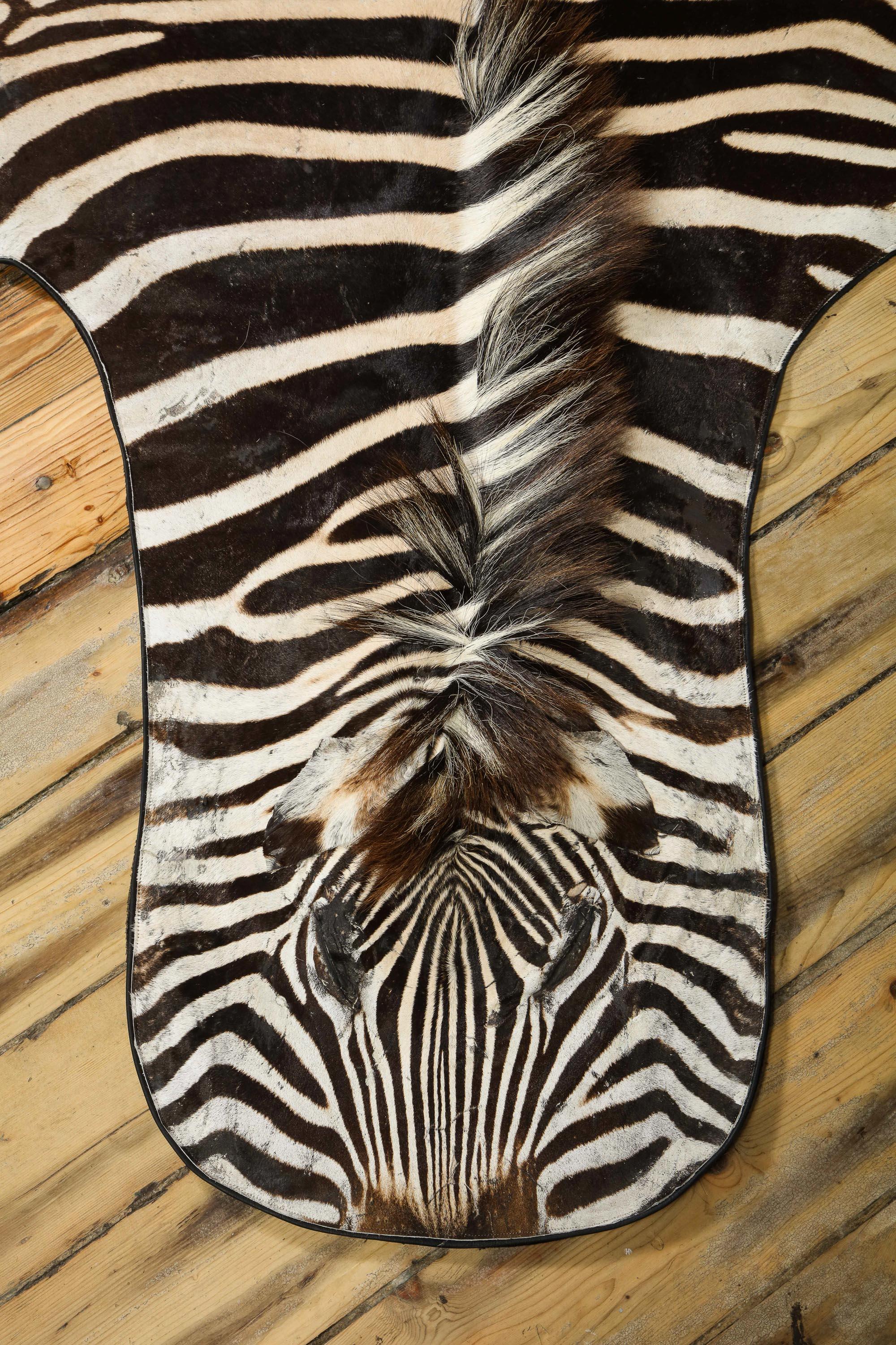 Zebra Rug, South Africa, Wool Felt Backed with Leather Trim, New Hide, In Stock In New Condition For Sale In New York, NY