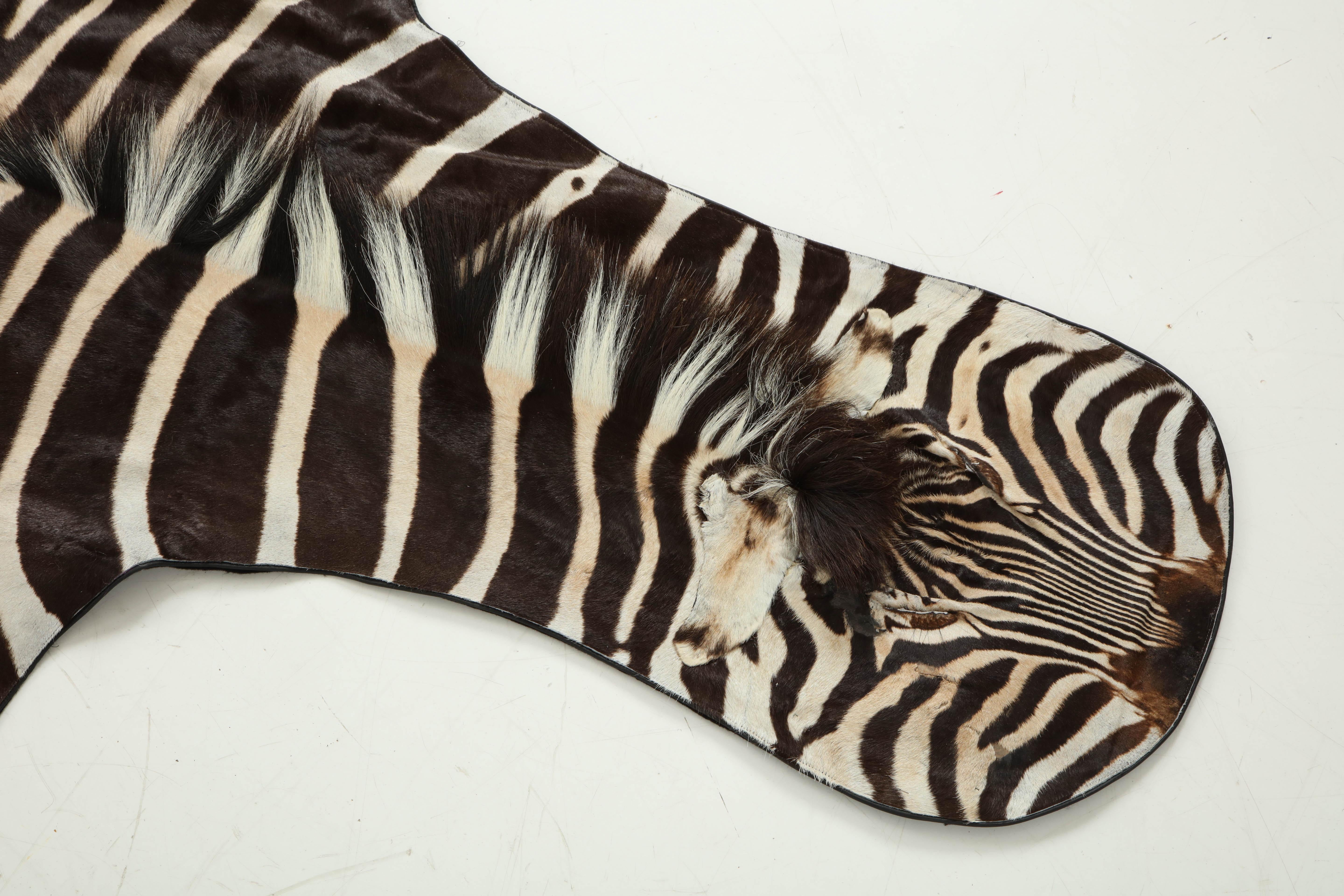 Decorative zebra hide backed with wool felt and trimmed around the edges with a leather trim.