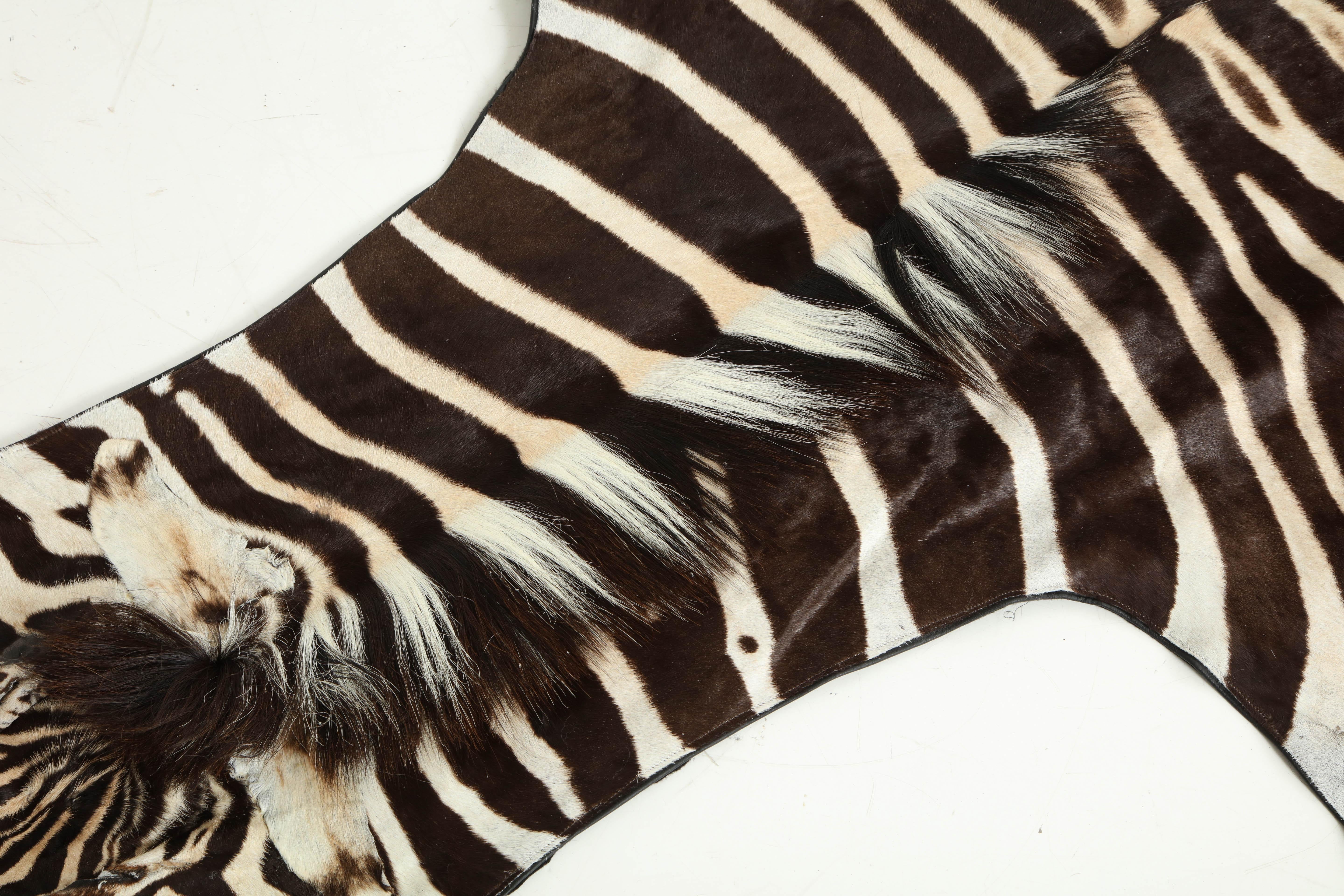 Zebra Hide Zebra Rug Hide