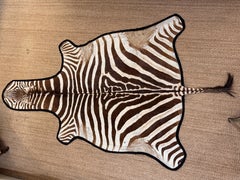 Zebra Rug of Unusual Small Size with Felt Edging and Backing