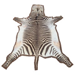 Zebra Rug with Felt Backing