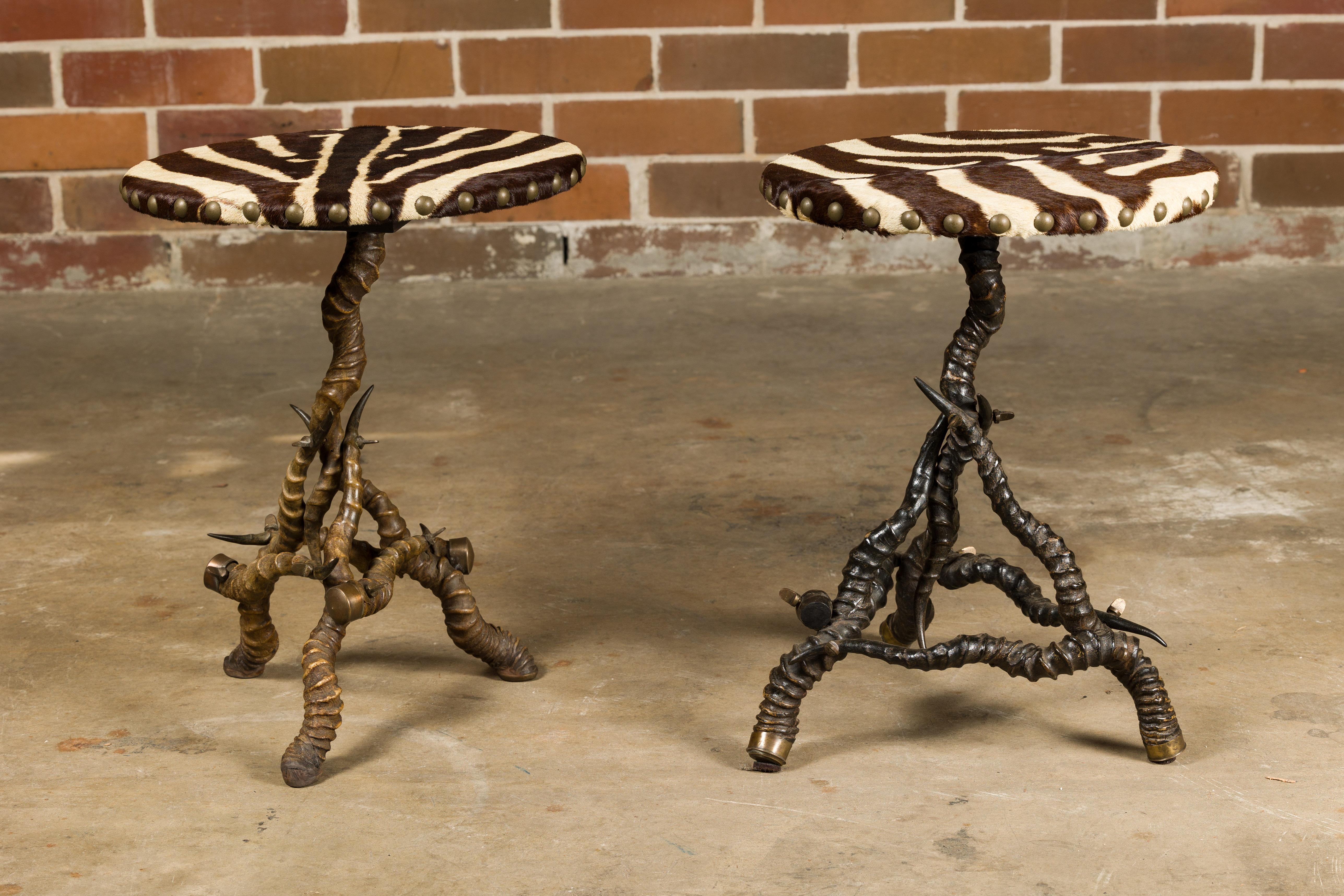 Deux tables d'appoint avec plateaux circulaires en peau de zèbre et bases tripodes en corne. Ces deux tables d'appoint sont une fusion frappante de la beauté de la nature et d'un design élégant. Chaque table présente un plateau circulaire orné d'une