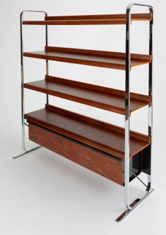 Zebrawood and Chrome Bookshelf by Peter Protzmann for Herman Miller