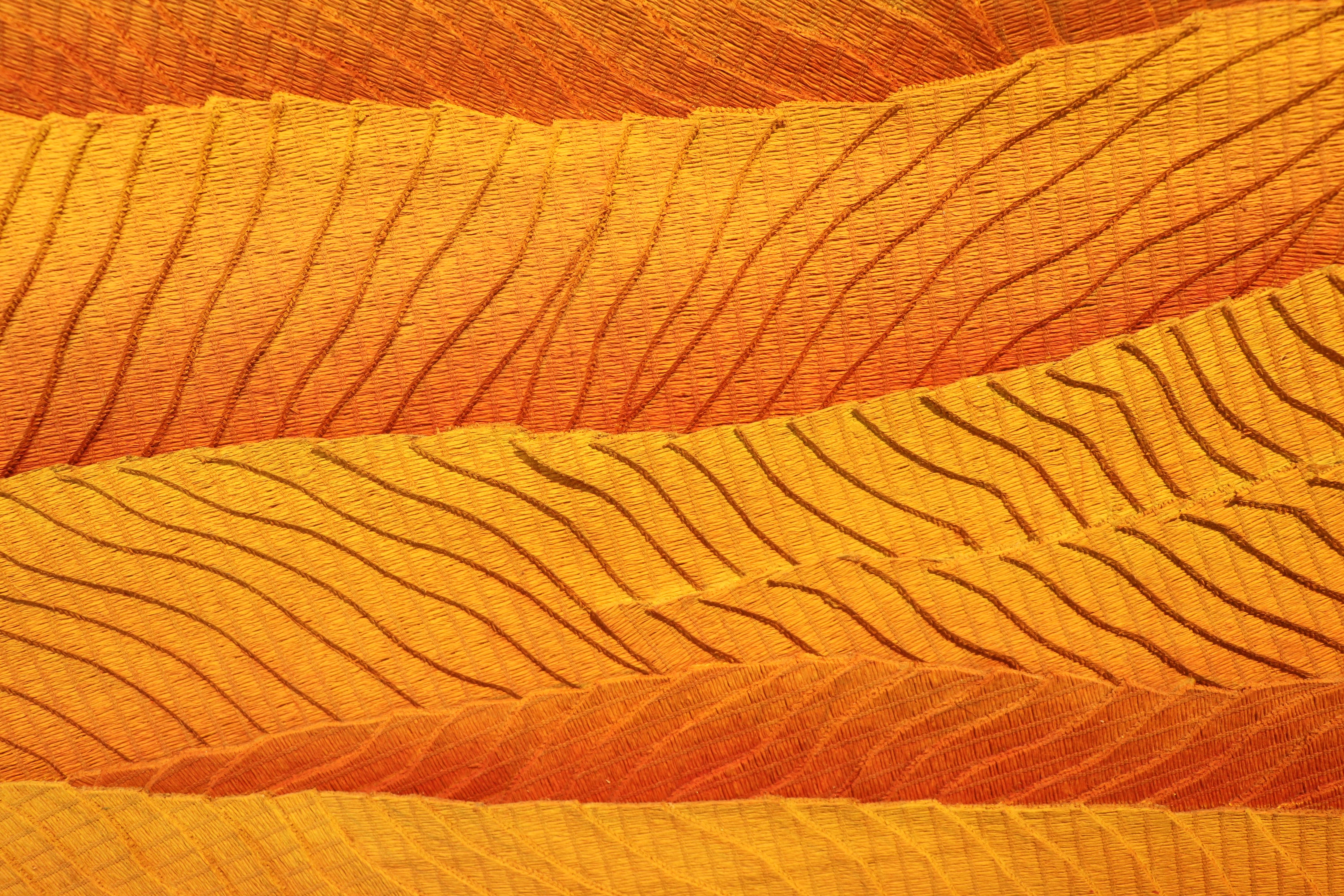 Contemporary Zelkova - Vadim Garine