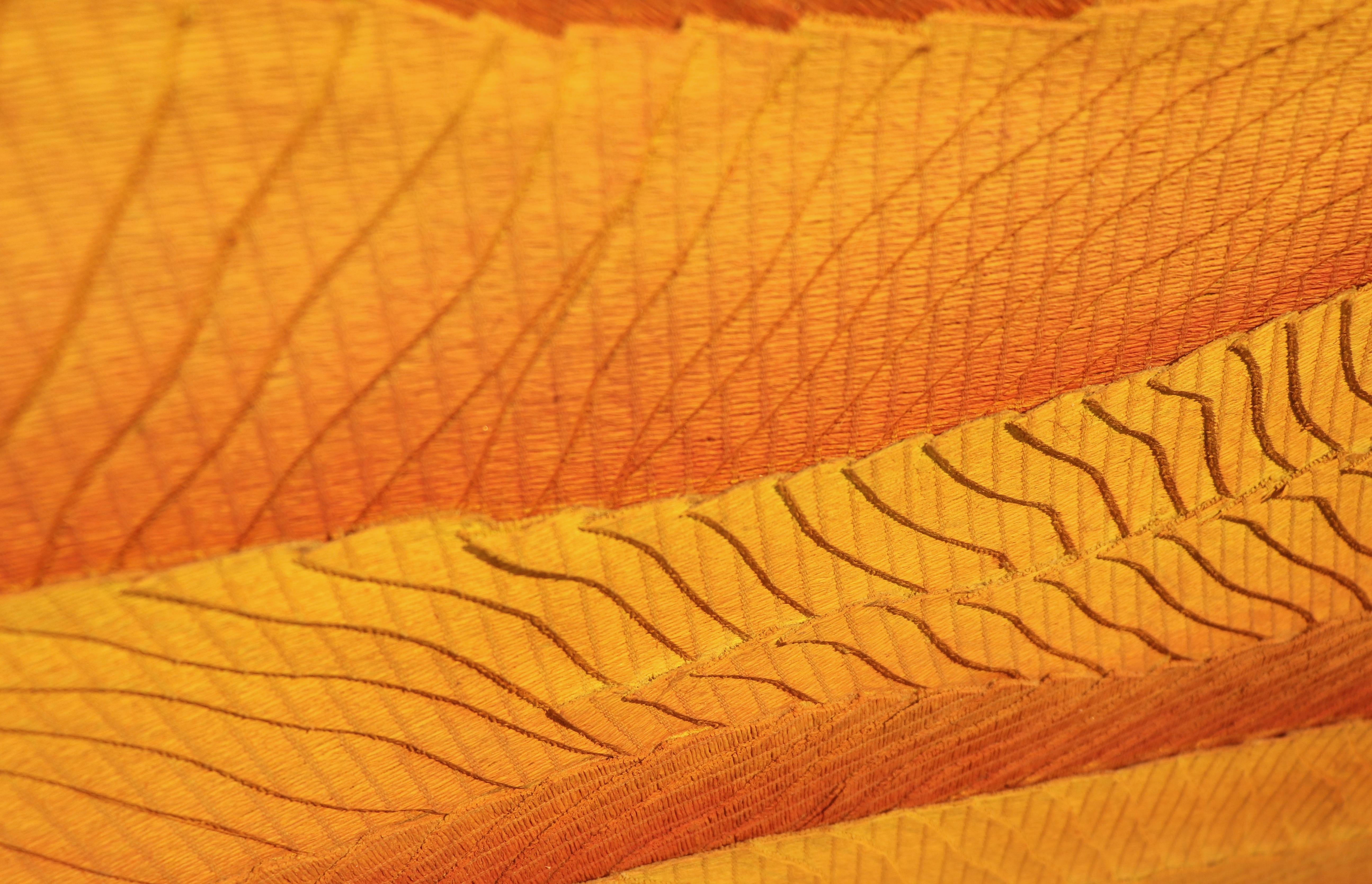 Paint Zelkova - Vadim Garine