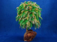 Zen Bonsai "Majestic Tree", Handmade in Italy, Tuscan root, hymn to life