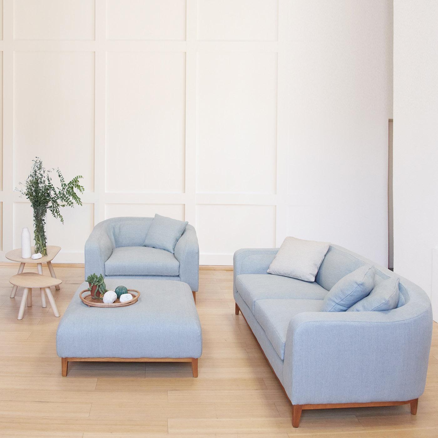 Contemporary Zeno 2 Seater Sofa By Brian Sironi For Sale