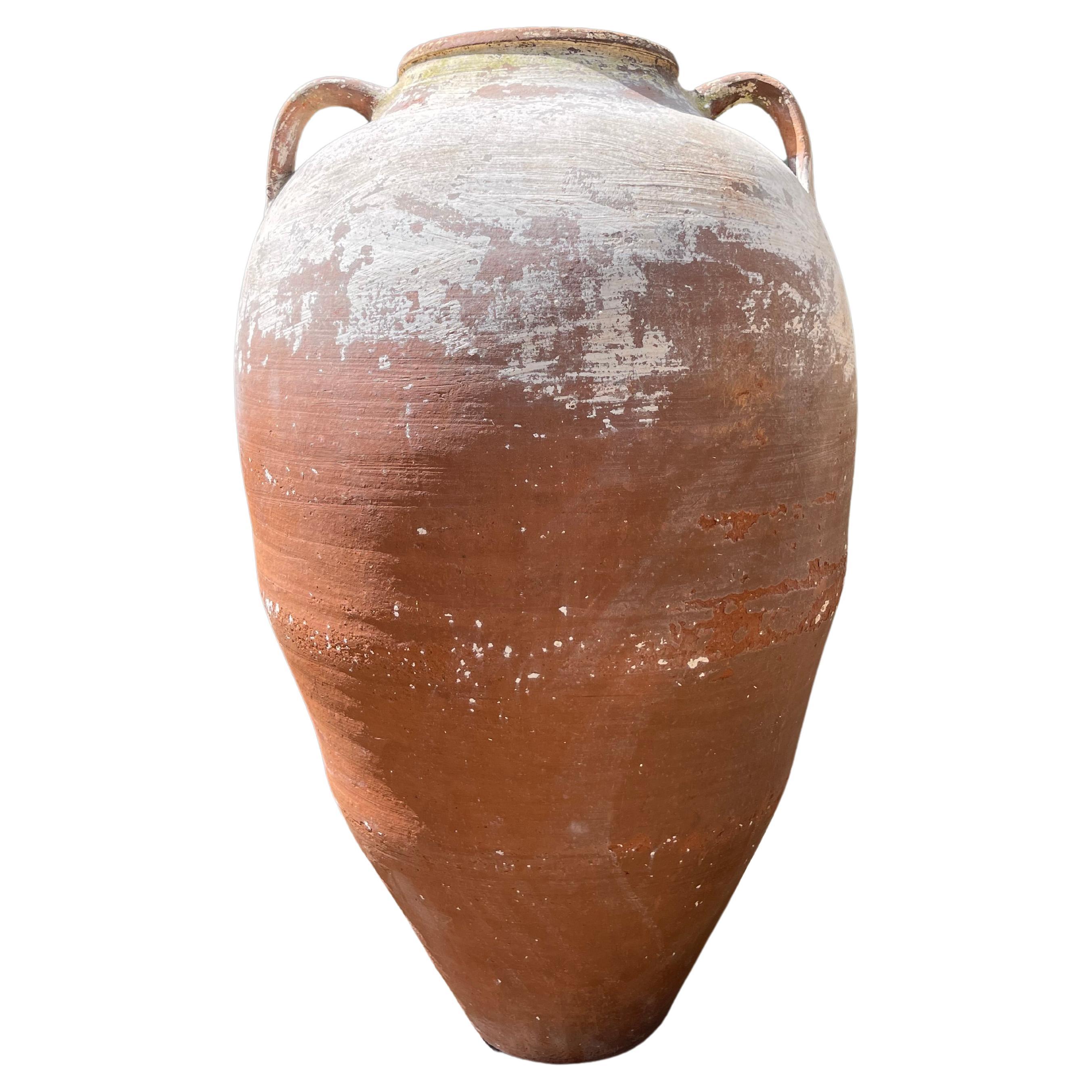 Zeytin Küpü (Türkisches Oliven JAR - groß)