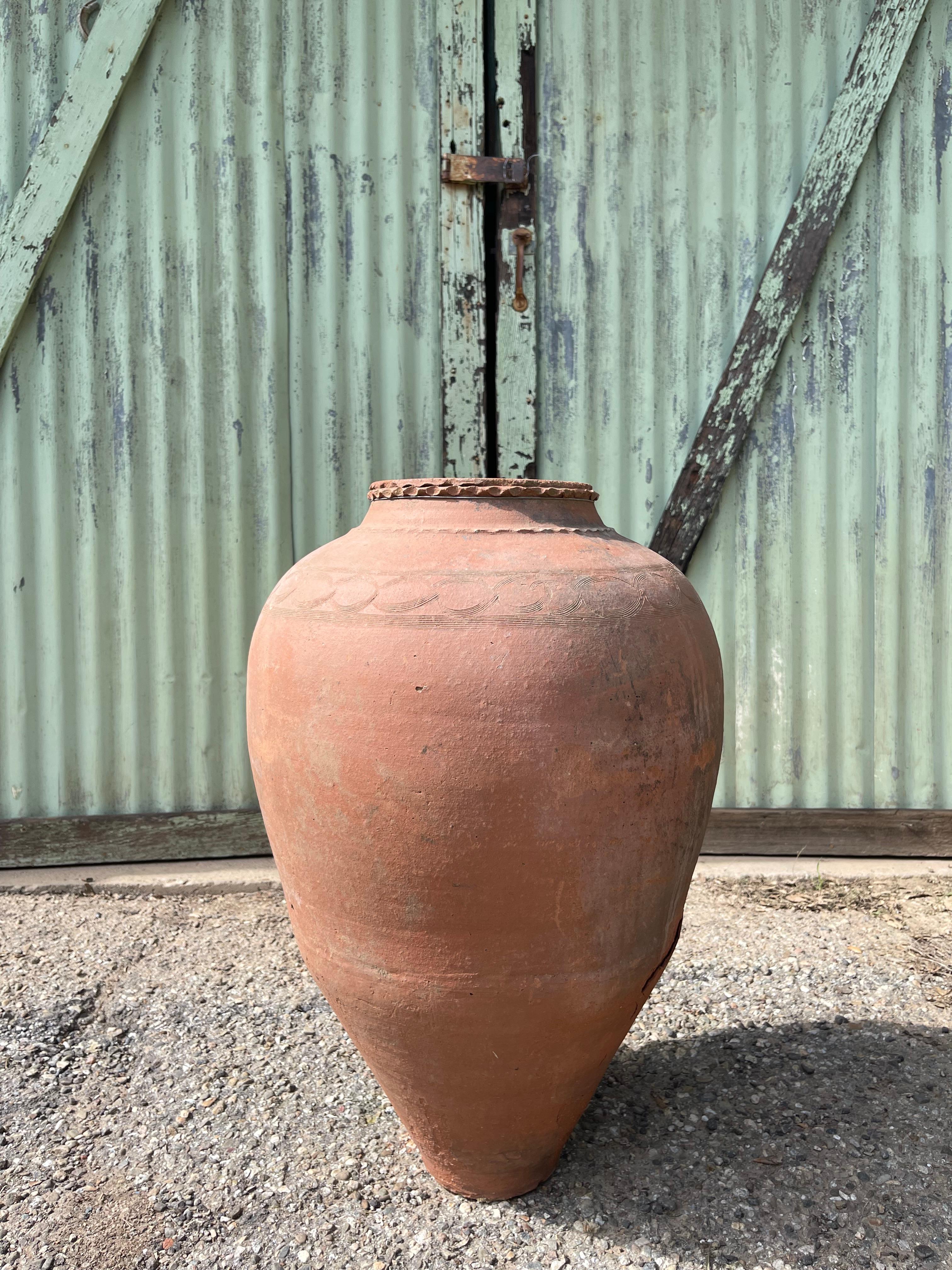Greco-romano Zeytin Küpü (Vaso di olive turche - medio) in vendita