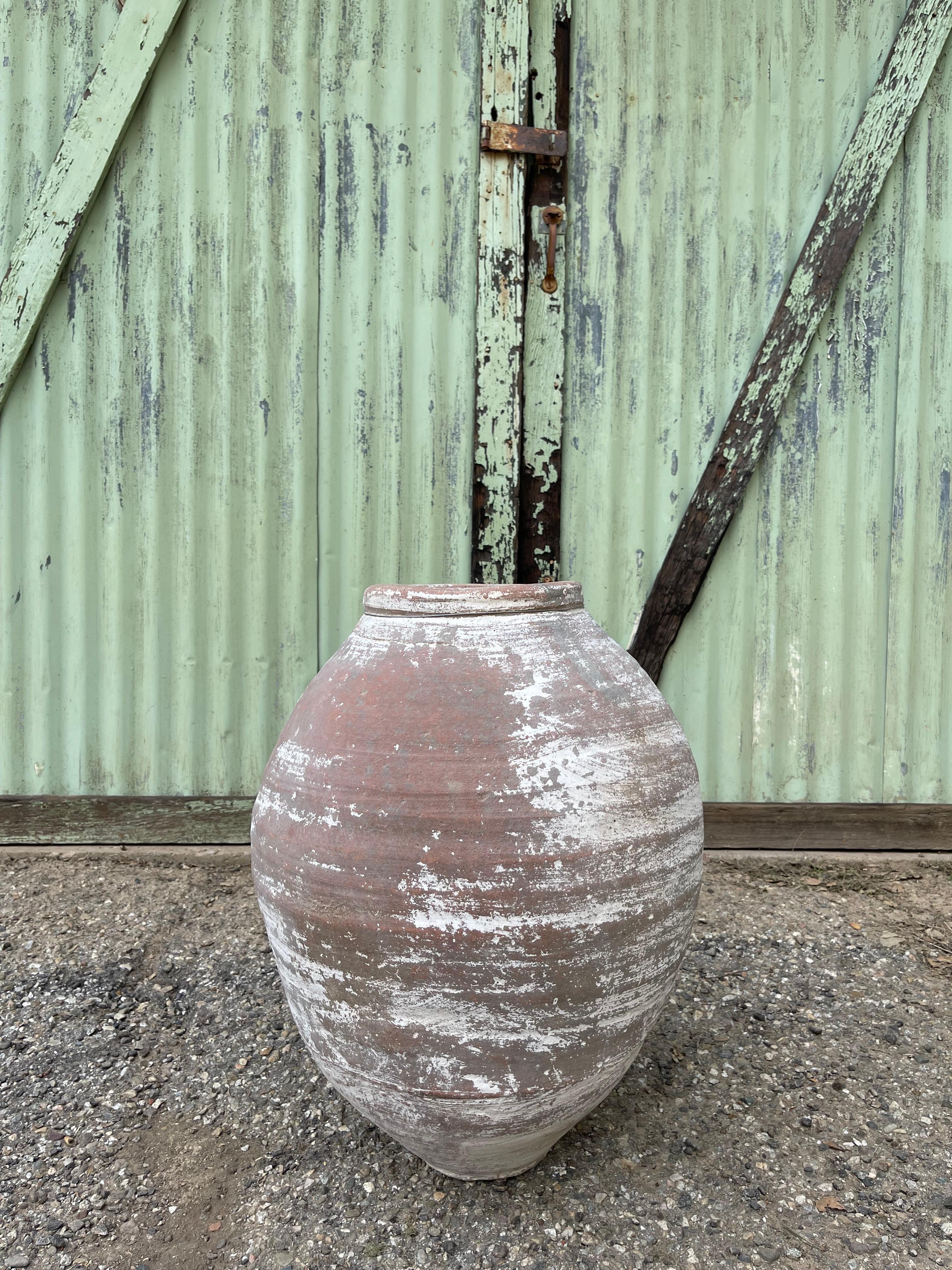 Greco-romano Zeytin Küpü (Vaso di olive turche - medio) in vendita