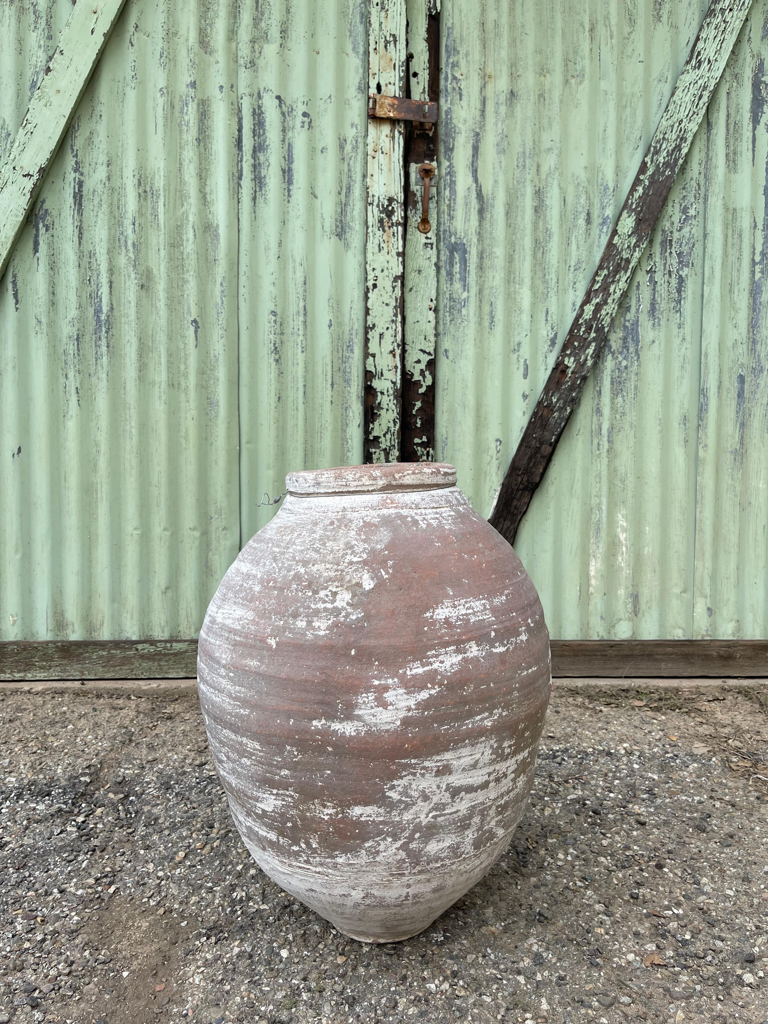 Turco Zeytin Küpü (Vaso di olive turche - medio) in vendita