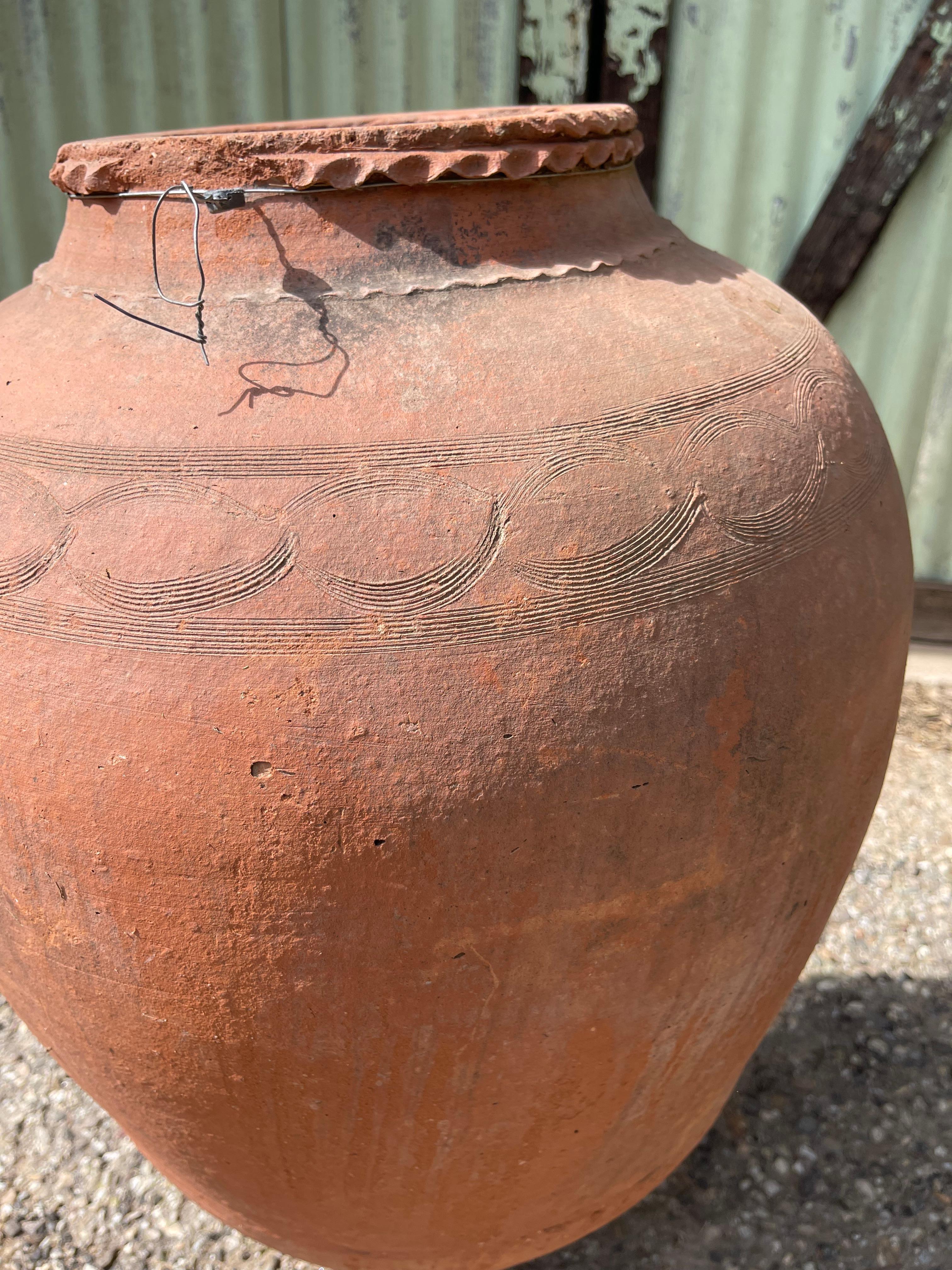 Zeytin Küpü (Vaso di olive turche - medio) In condizioni buone in vendita a Ojai, US