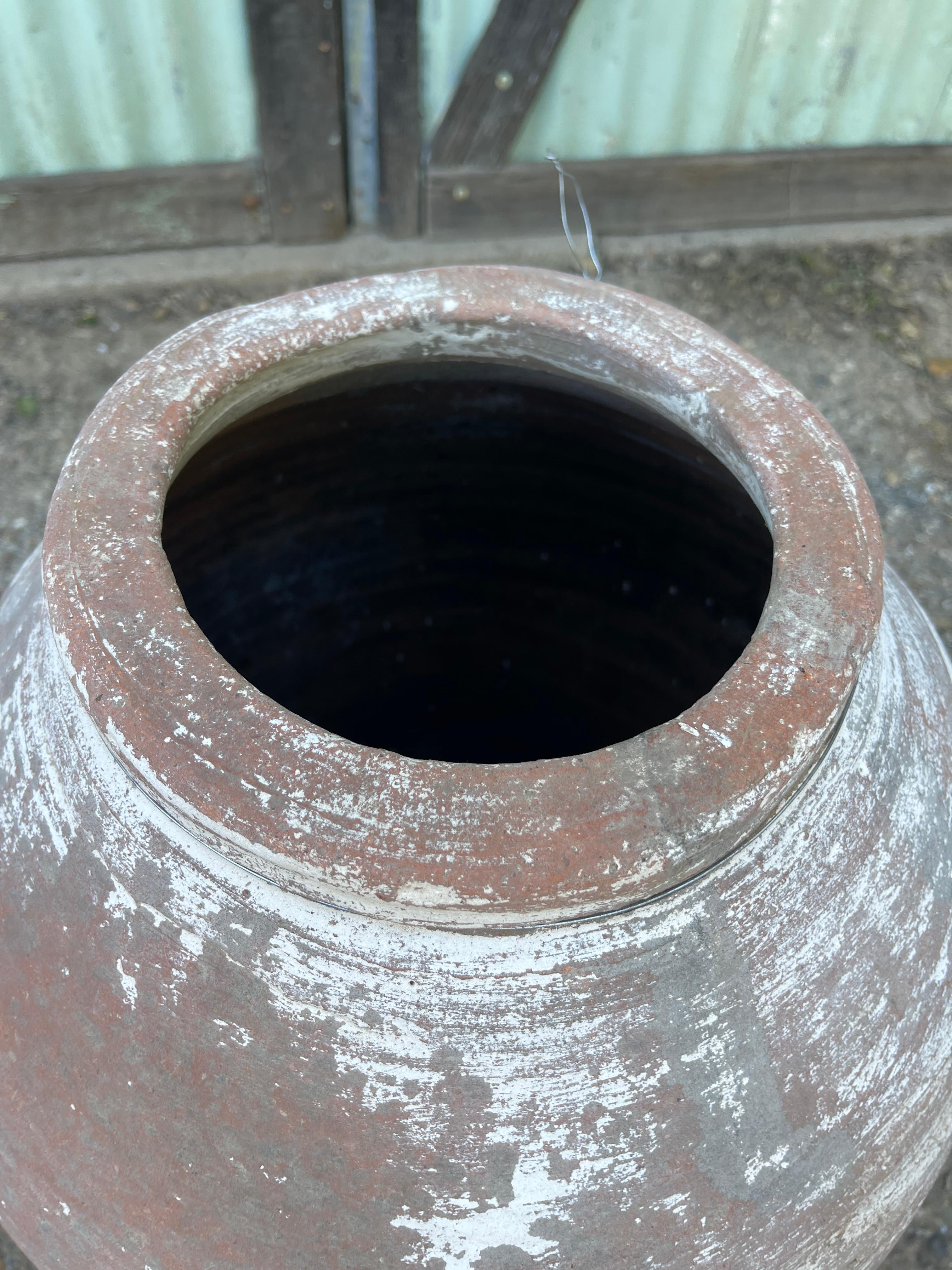 Zeytin Küpü (Vaso di olive turche - medio) In condizioni buone in vendita a Ojai, US