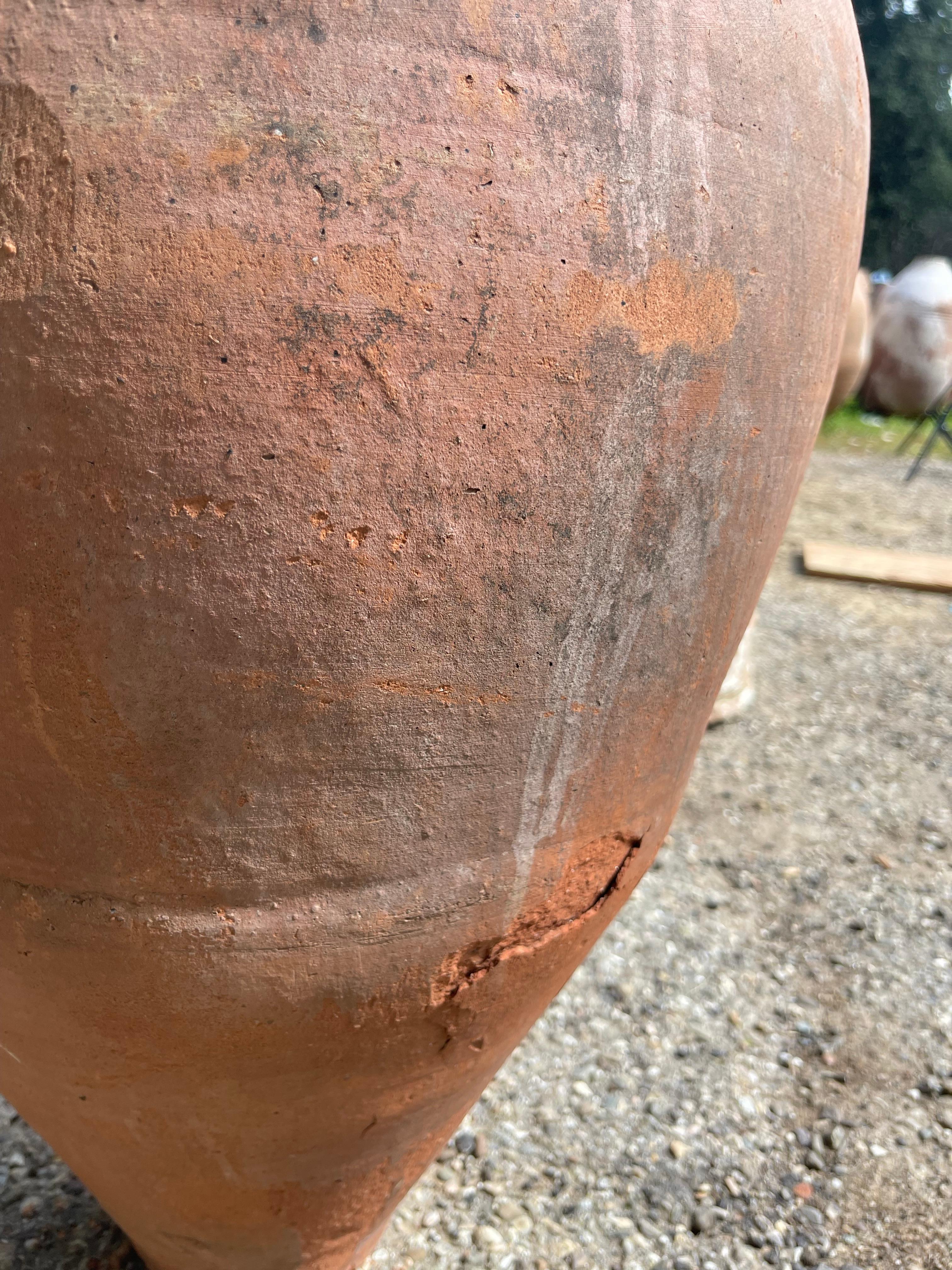 Zeytin Küpü (Vaso di olive turche - medio) in vendita 1