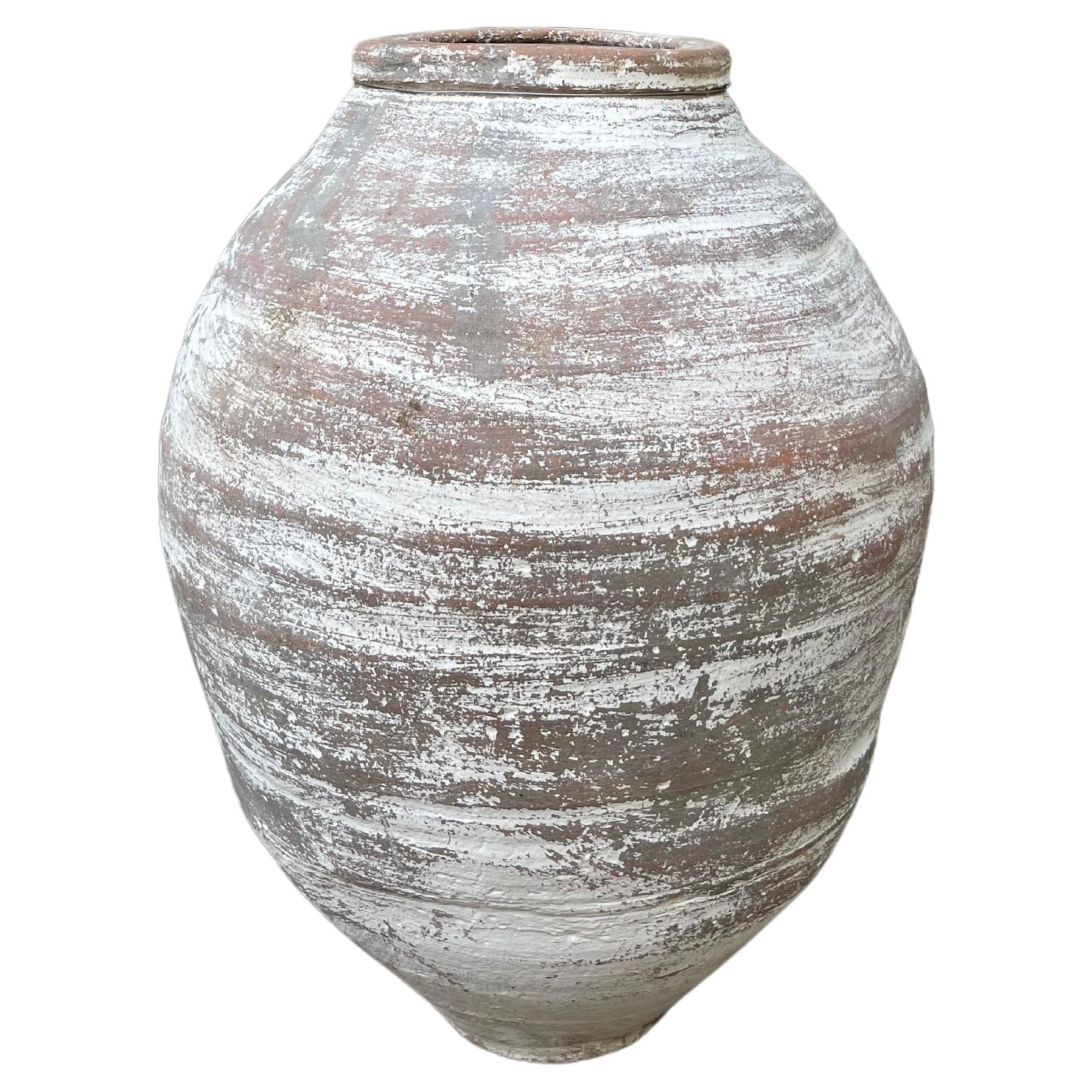 Zeytin Küpü (Vaso di olive turche - medio)