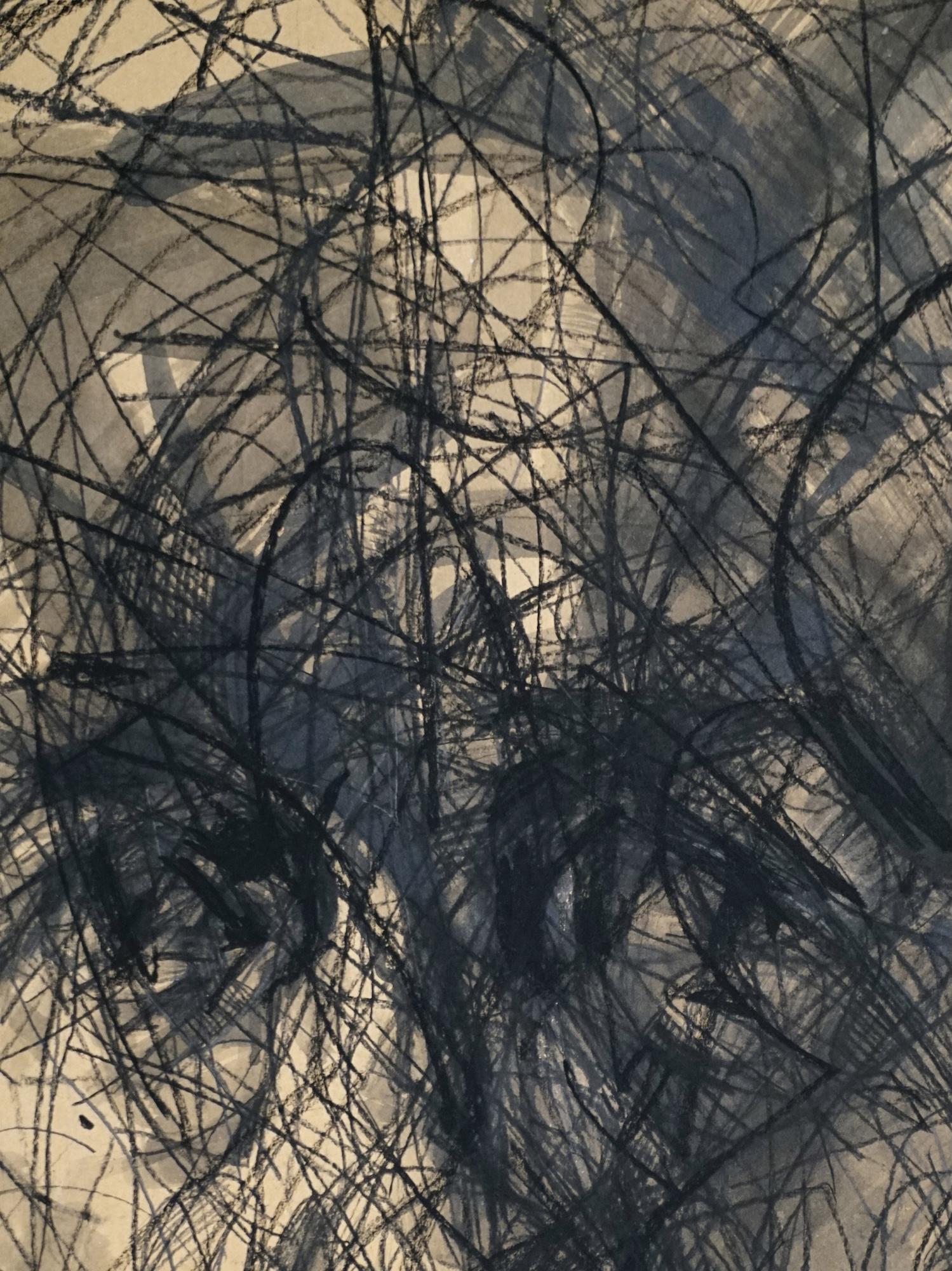 El nº 172 es un cuadro único del artista contemporáneo Hongyu Zhang. El cuadro está realizado con tinta china y carboncillo sobre papel kraft montado sobre lienzo. Las dimensiones son 100 × 65 cm (39,3 × 25,5 pulgadas). Las dimensiones de la obra