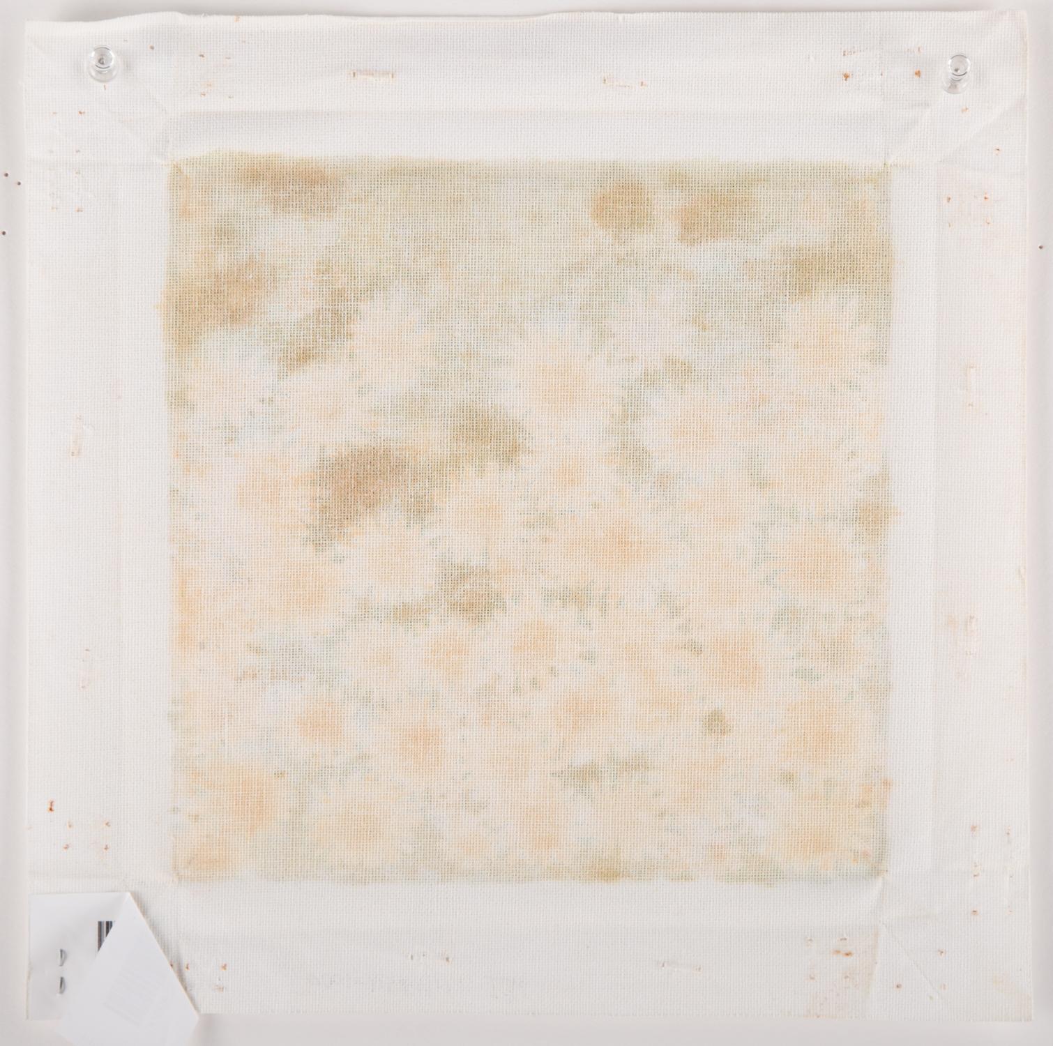 Zhao Wang, Blumengemälde, Original, Öl auf Leinwand, „Let's Travel1“ im Angebot 6